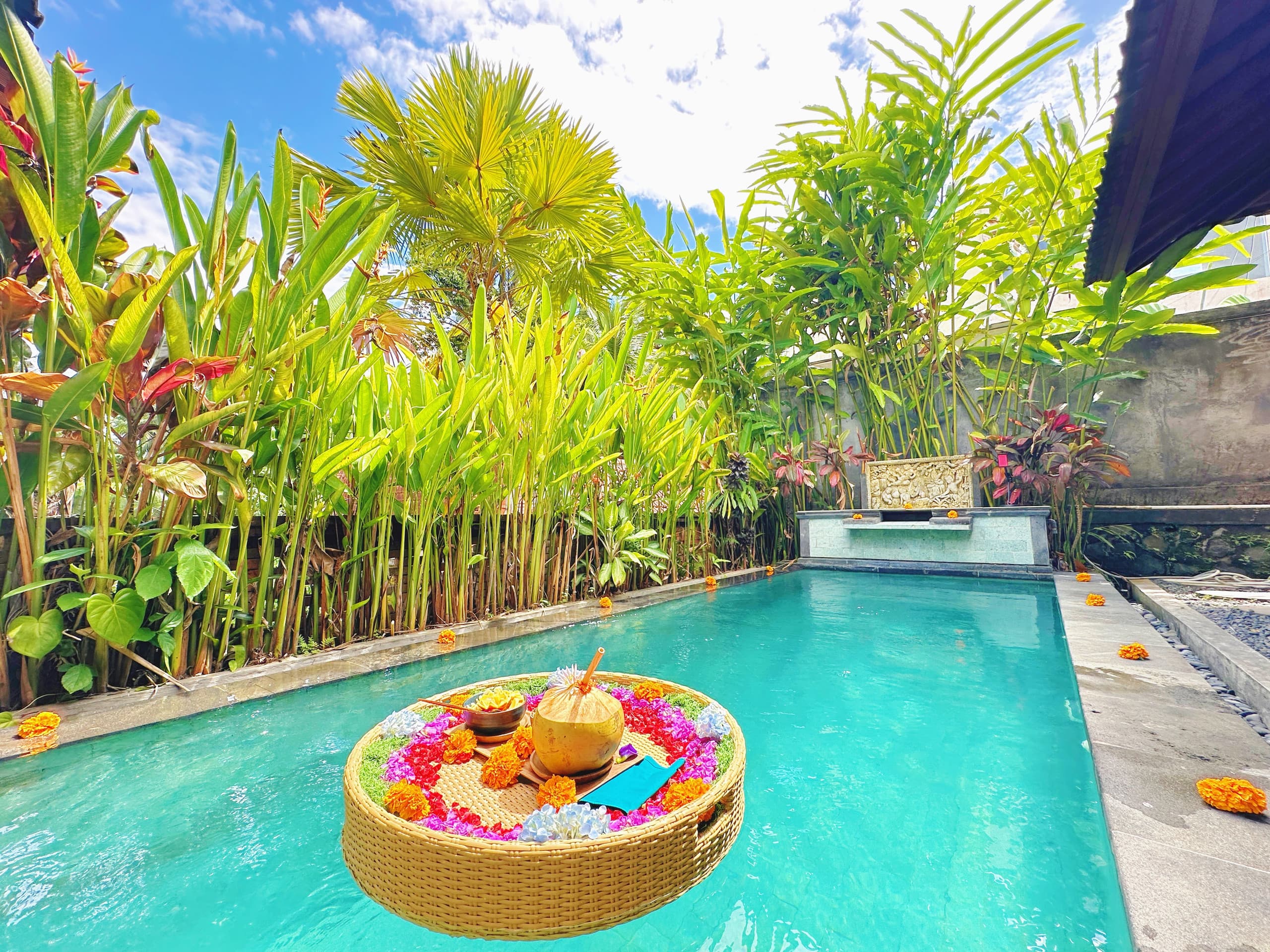 Private Jungle Suite w Pool, Yoga Shala, Kitchen 6
