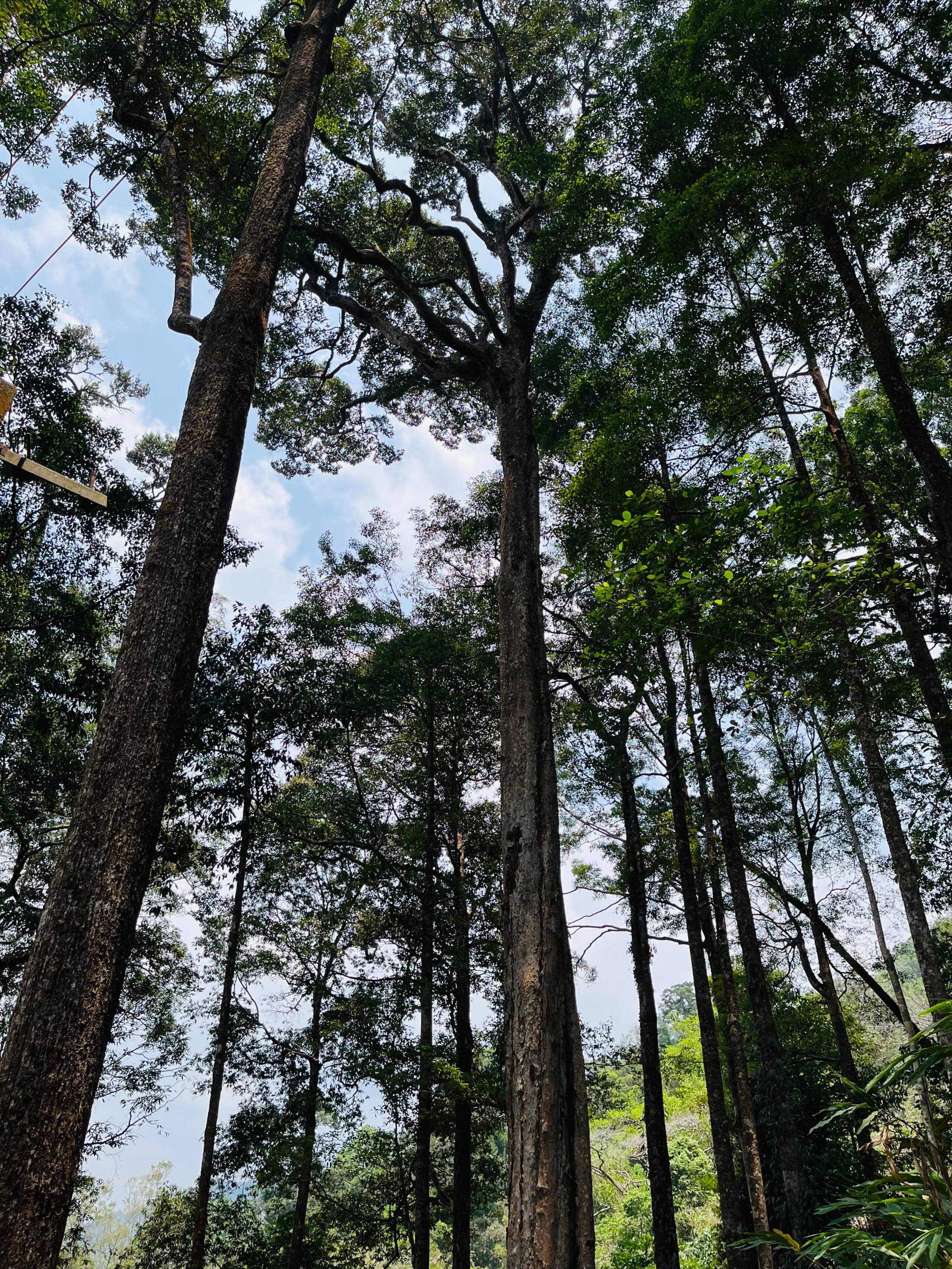 Catherine Cottage 14