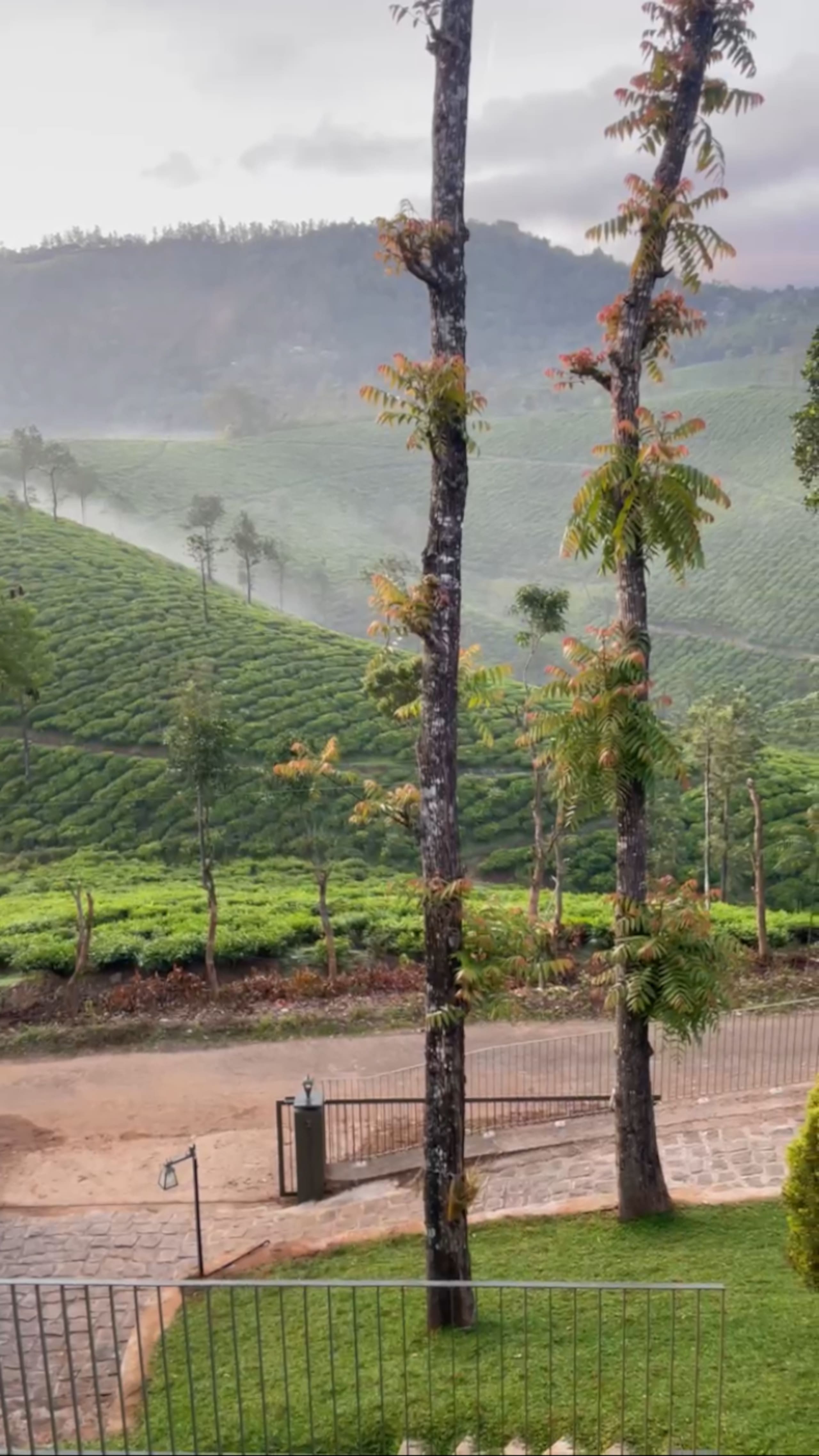 Semni Escape Plantation Bungalow-Vagamon 4