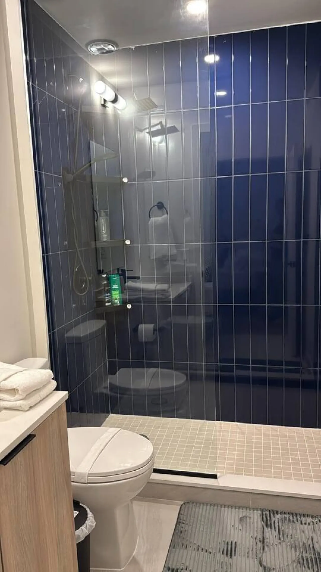 1+Den King Bed Gym Access Netflix 11