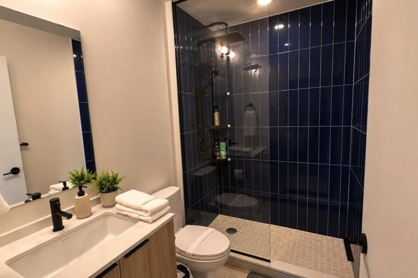 1+Den King Bed Gym Access Netflix 12