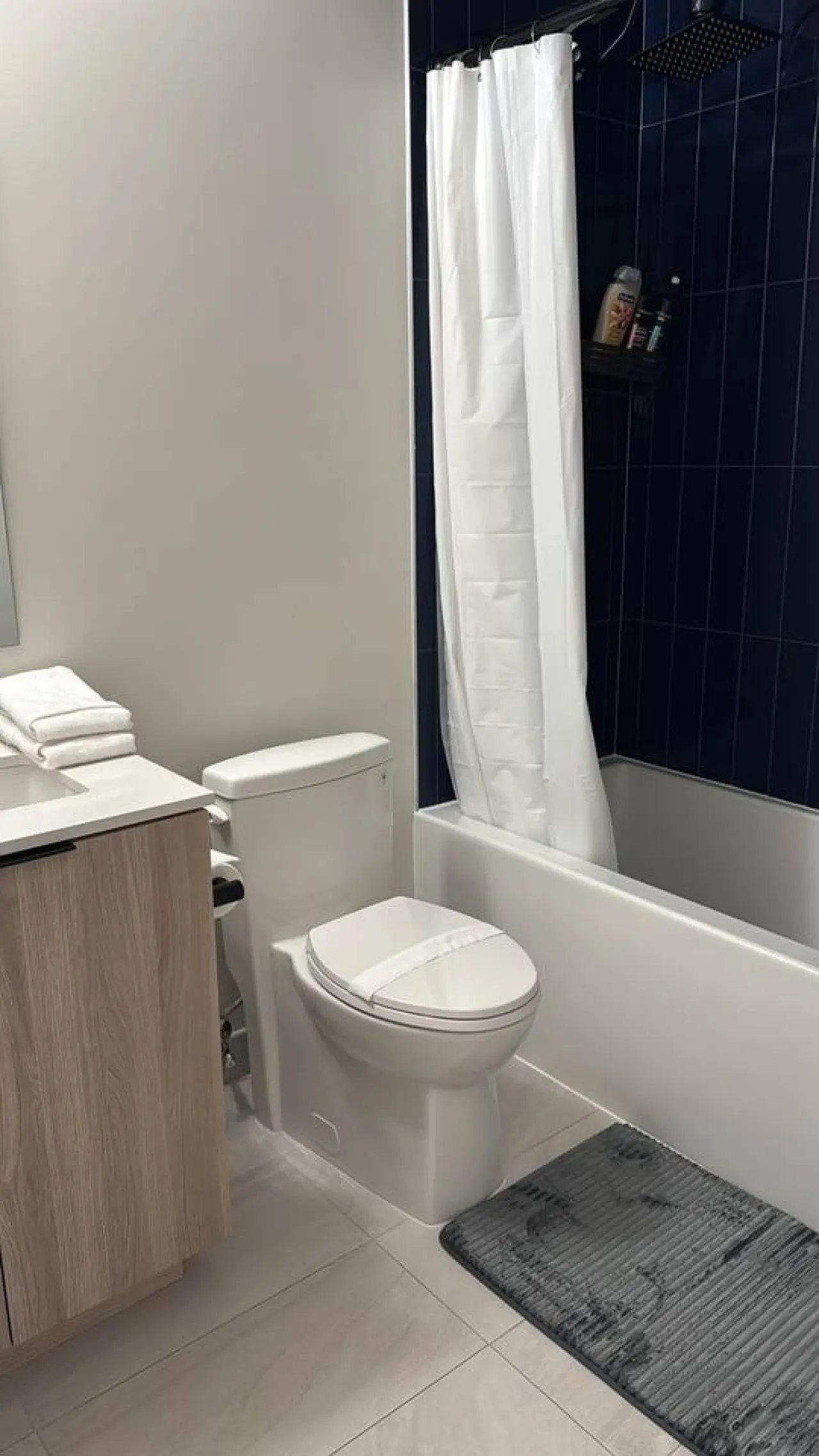 1+Den King Bed Gym Access Netflix 16