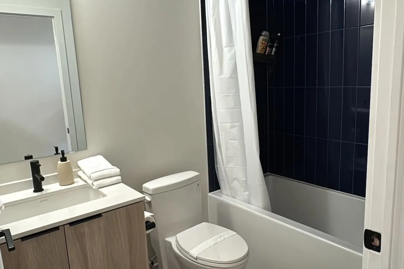 1+Den King Bed Gym Access Netflix 17
