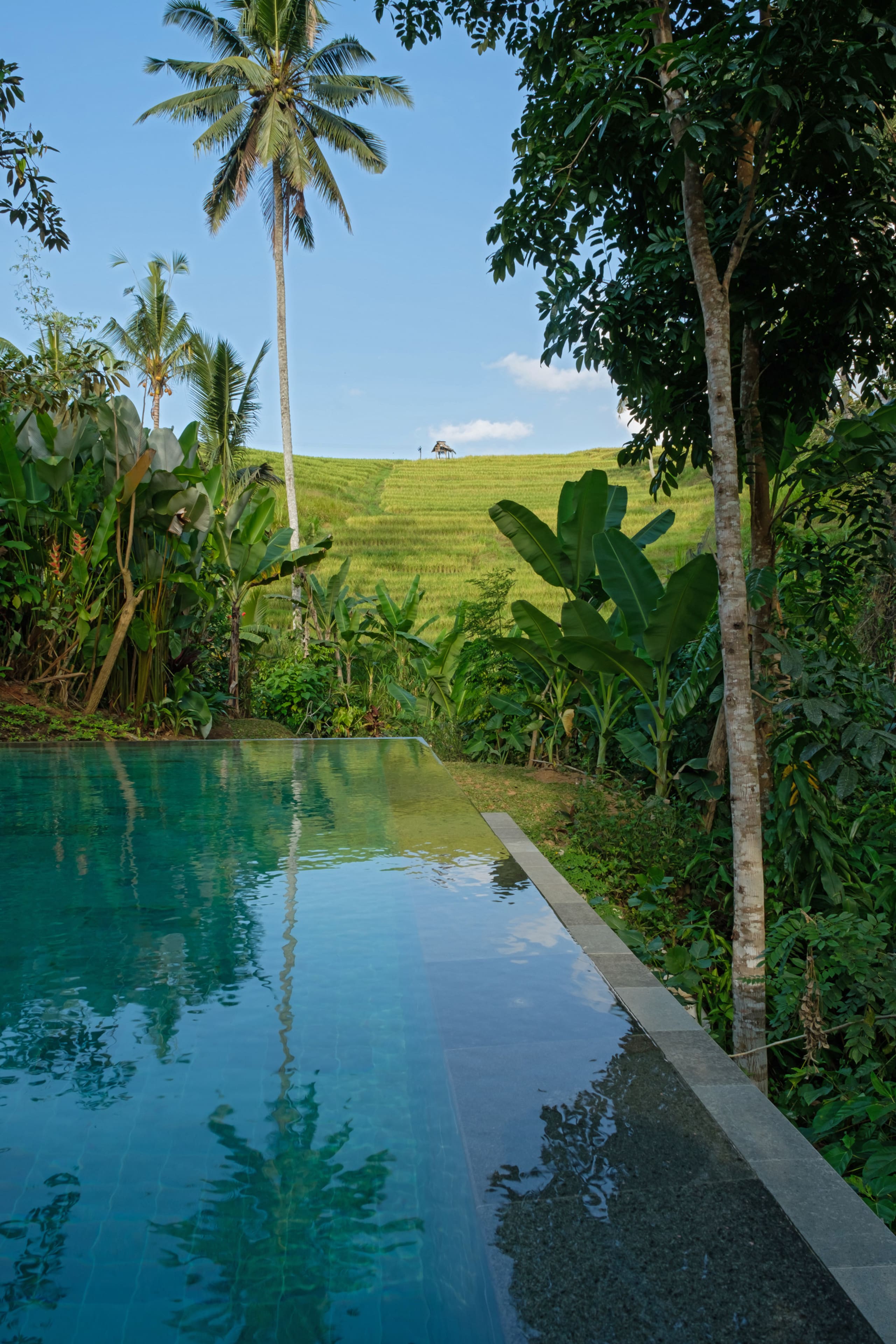 Bebalilodge, one bedroom house with private pool — photo 2