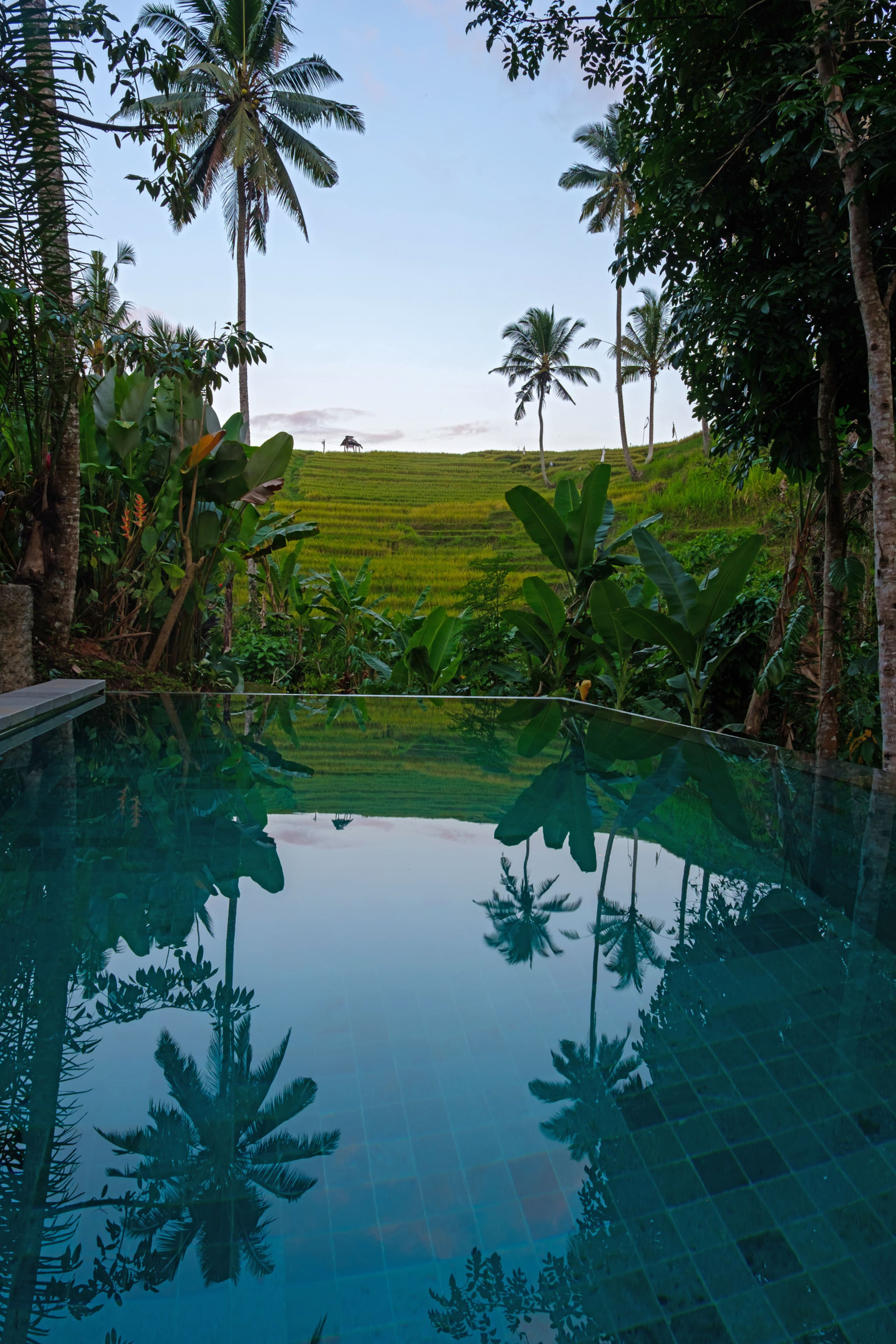 Bebalilodge, one bedroom house with private pool — photo 4