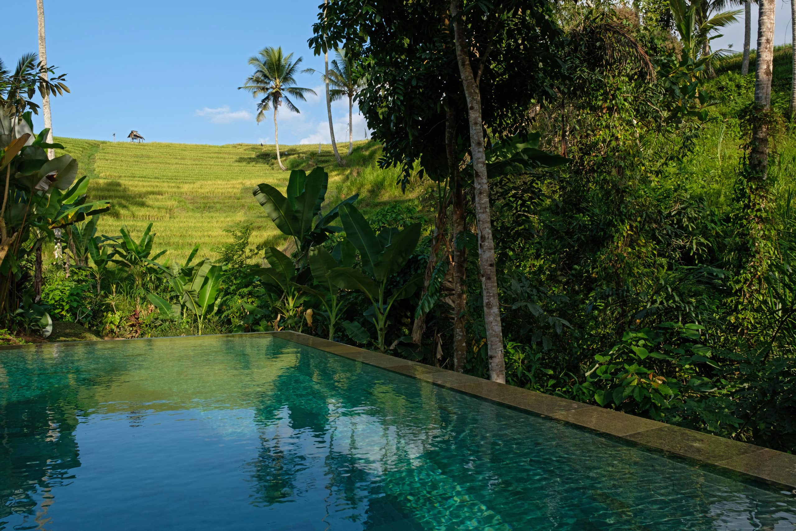 Bebalilodge, one bedroom house with private pool — photo 3