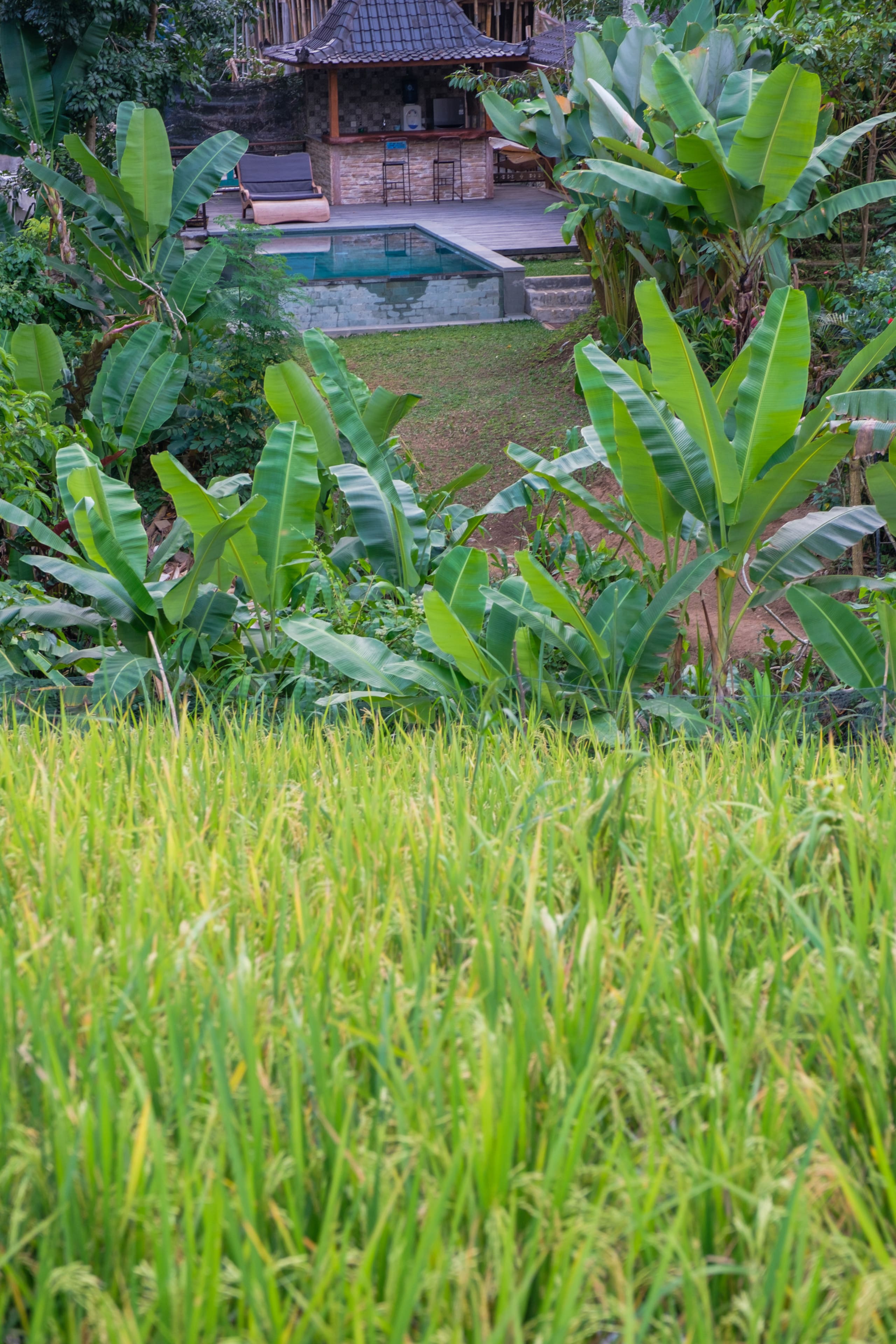 Bebalilodge, one bedroom house with private pool 31