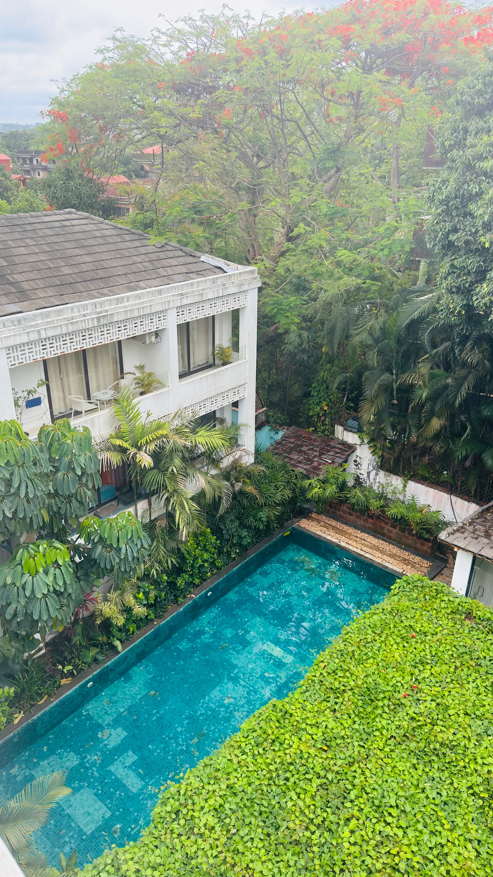 SantaTerra A1 Cozy 1BHK with Private Garden 1
