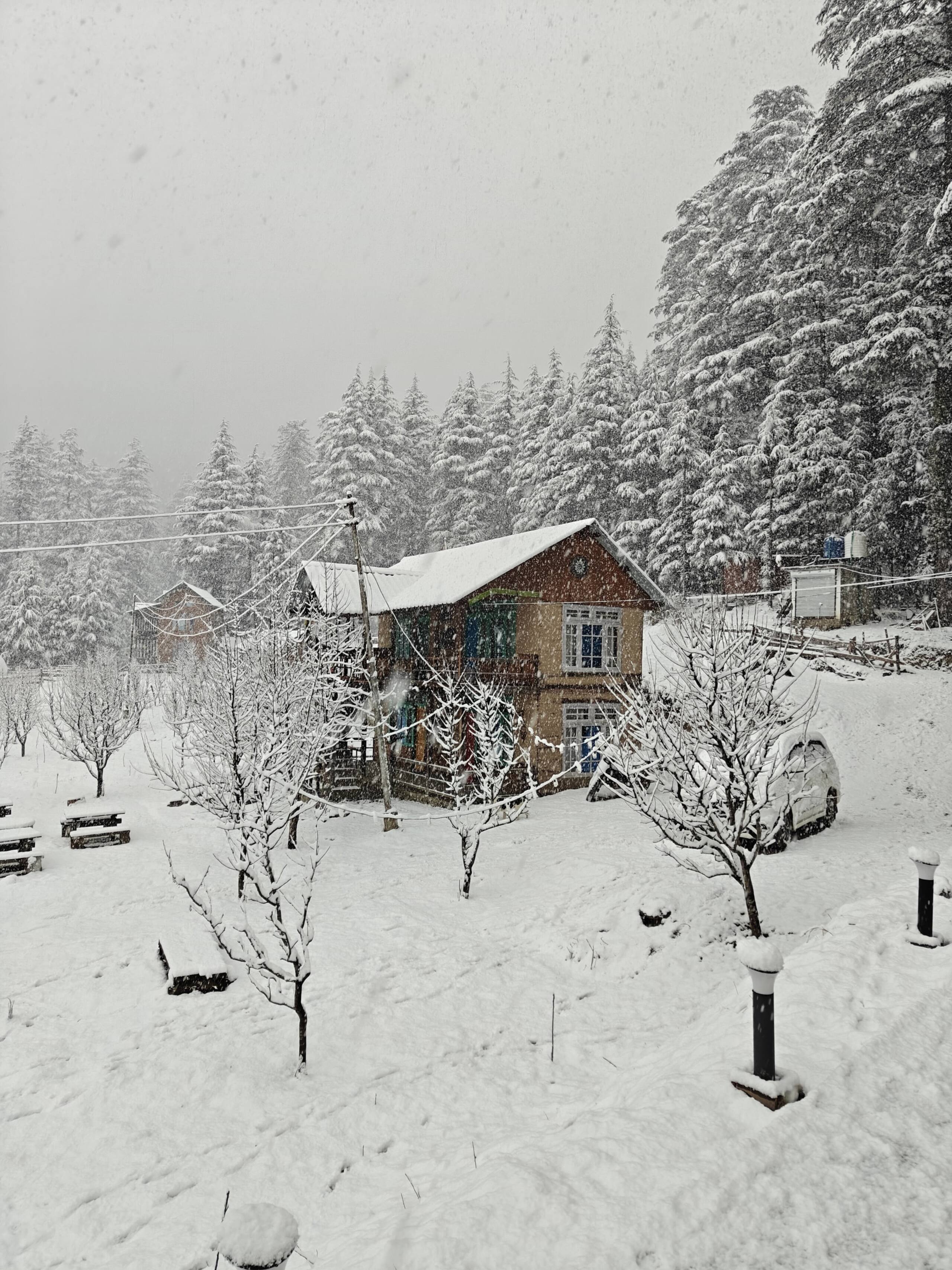 Anantay - The Chalet | Wooden Cottage 1 | Shangarh 10