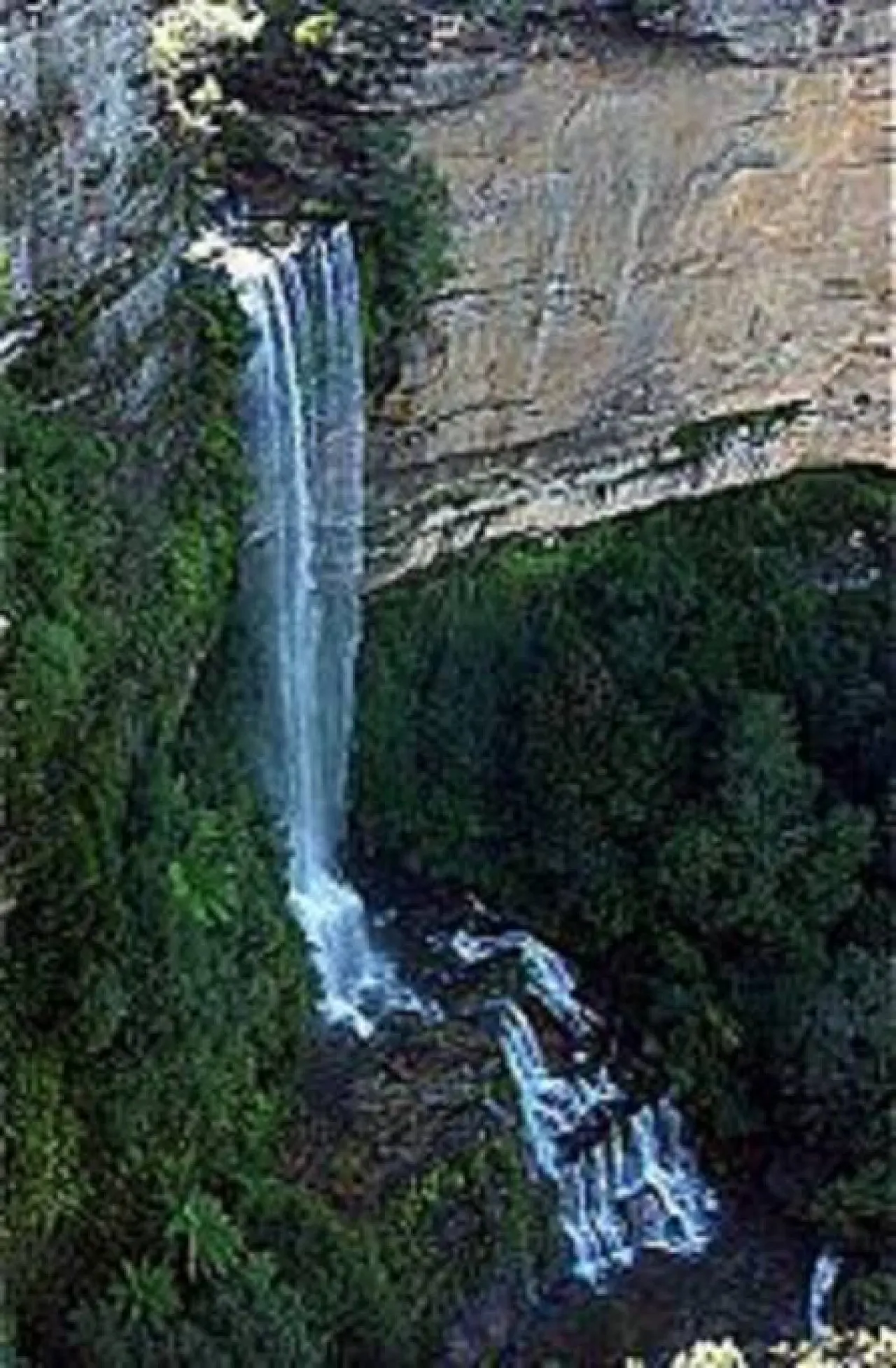 5 Craigend, Leura Leura Mall: 3 Mins Walk to Shops Weekday Specials 19