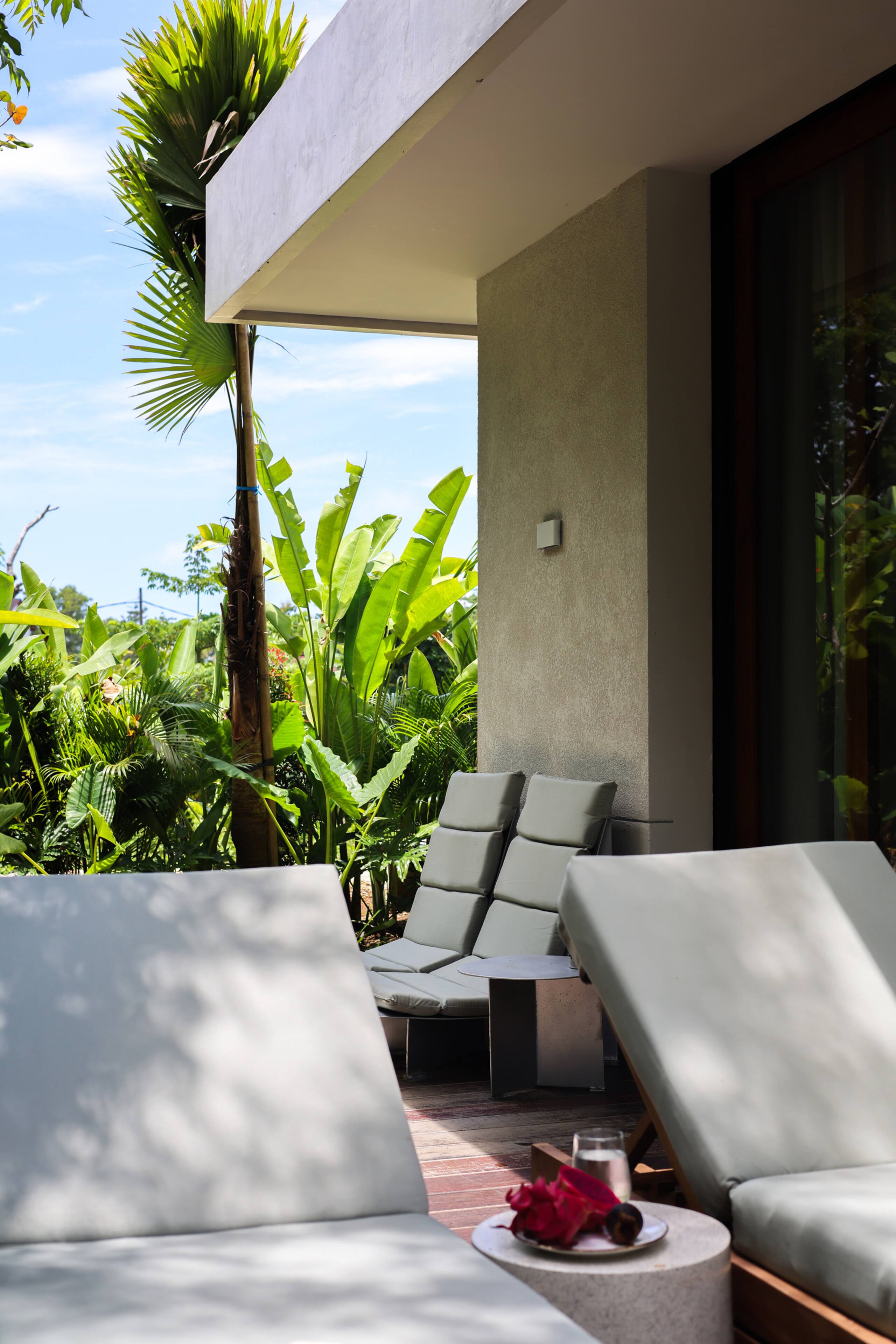 Modern Wellness Retreat: Icebath, Pool, Zen Patio 25