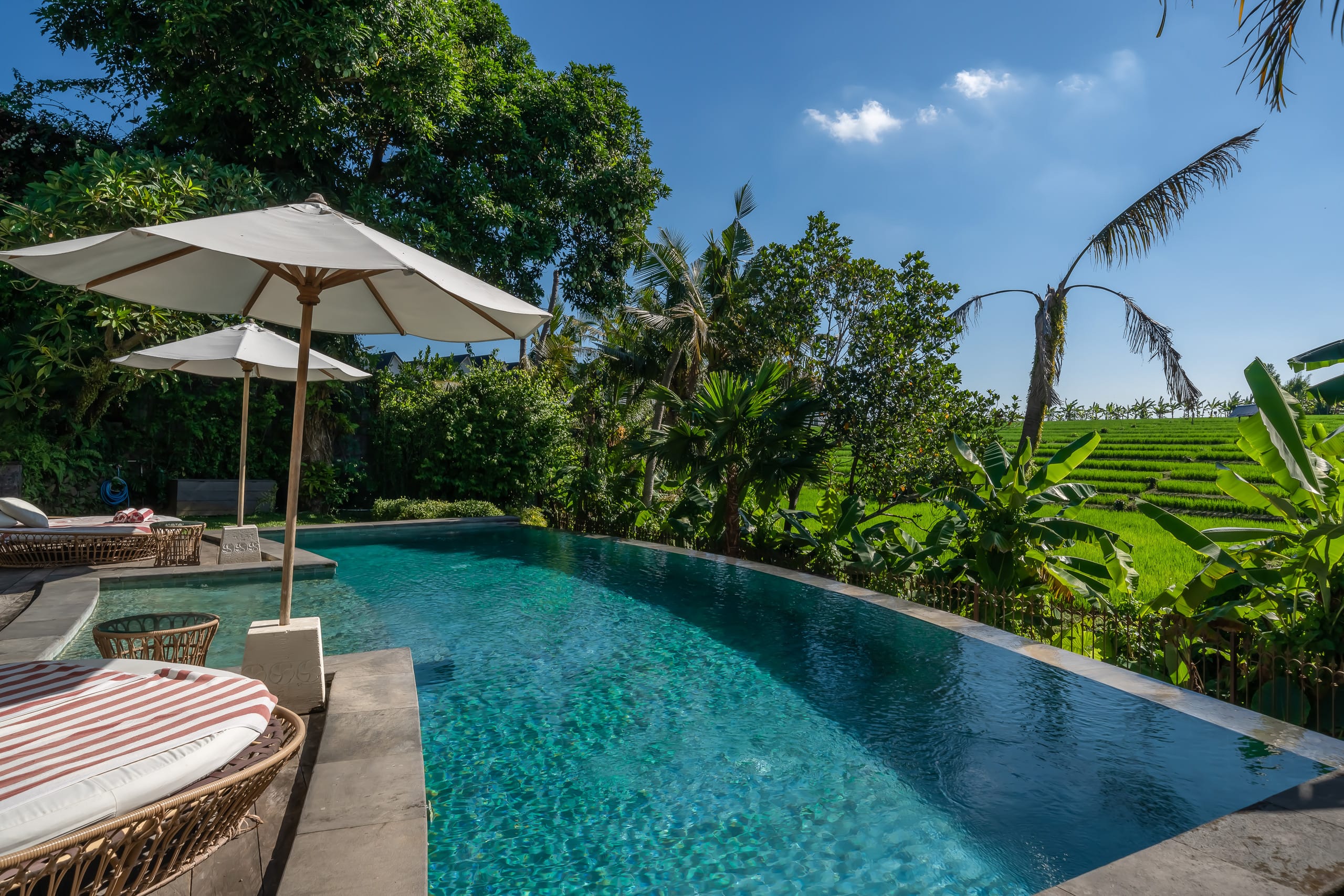 Villa Ora: Luxury Tropical 6BR Villa in Canggu! — photo 4