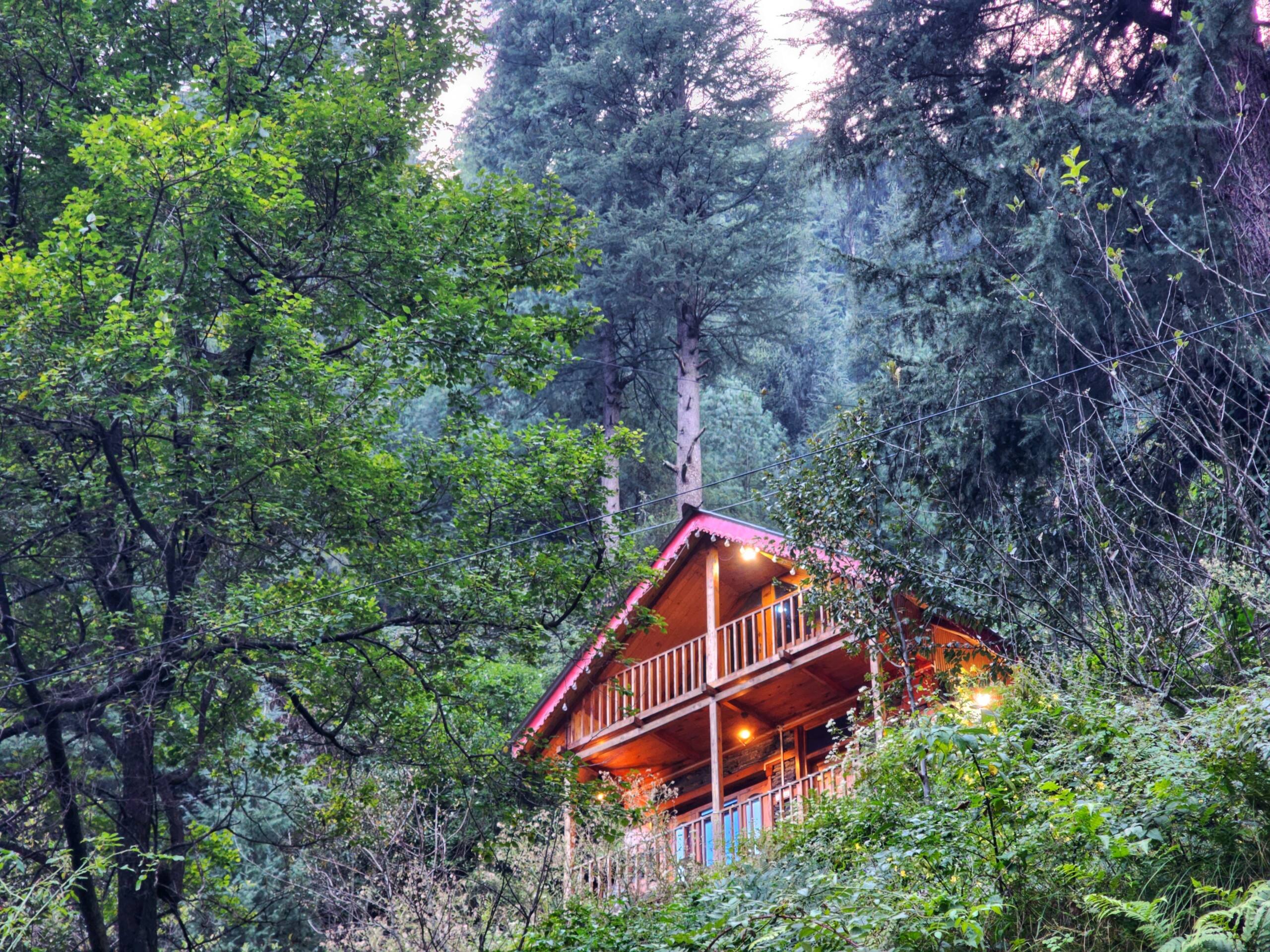 🏡JUNGLE TRAILS COTTAGE🌲SMART TV AND POWER BACKUP 1