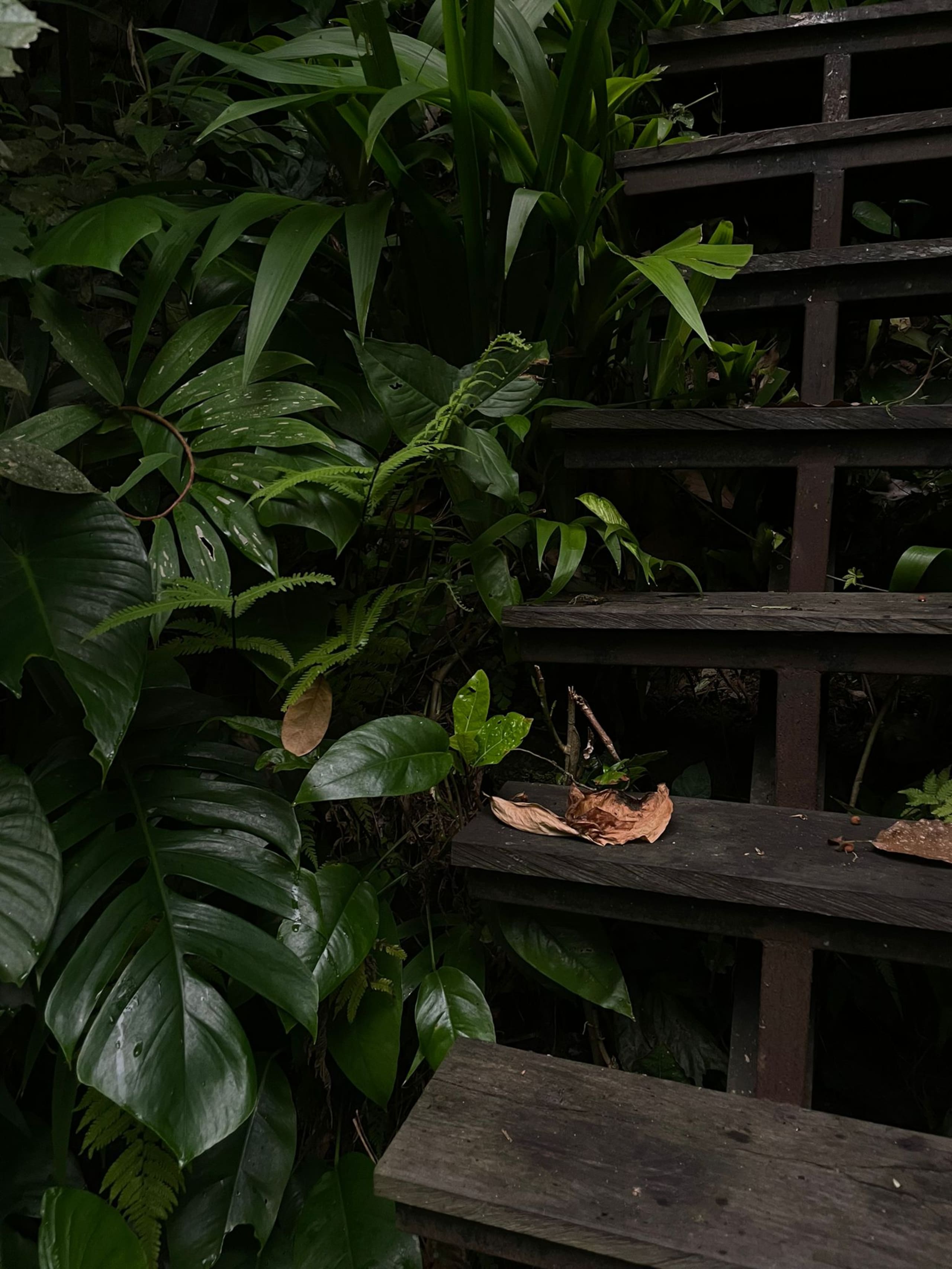 Ubud Zen River House 20