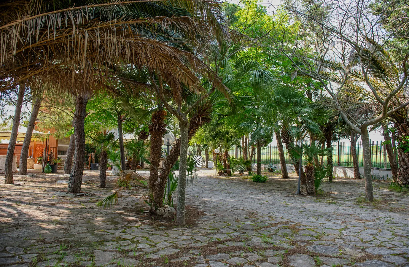 Villa Lucia 20