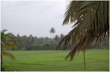 Beautiful 3 Bedroom Sagar Villa next to the Beach 6