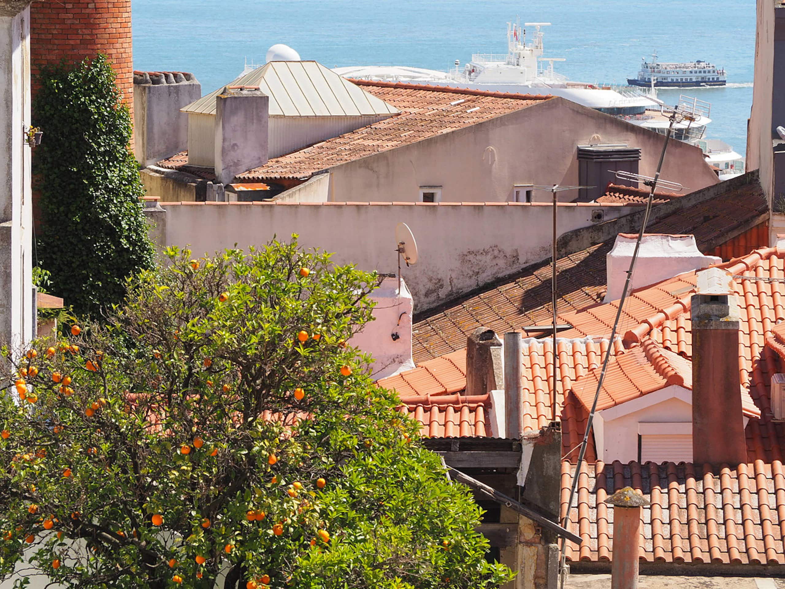 Loios II – Lisbon Old Town 28