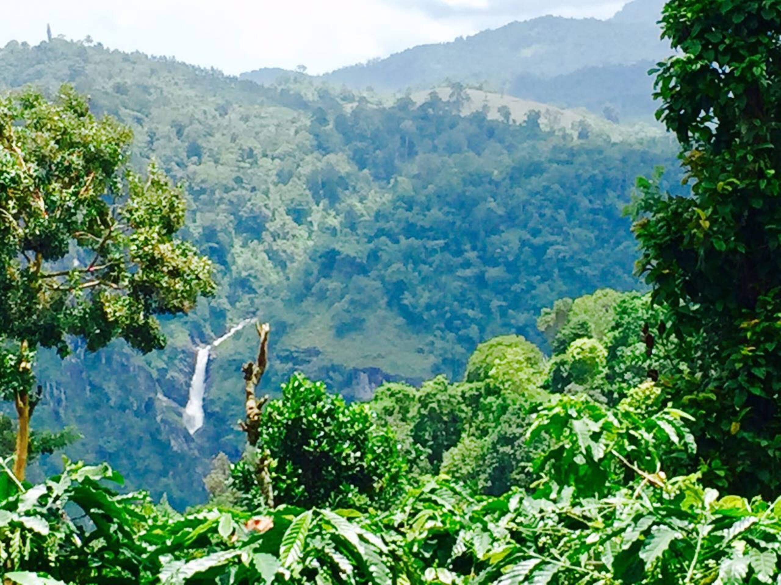 Pristine Hills - Home stay 4