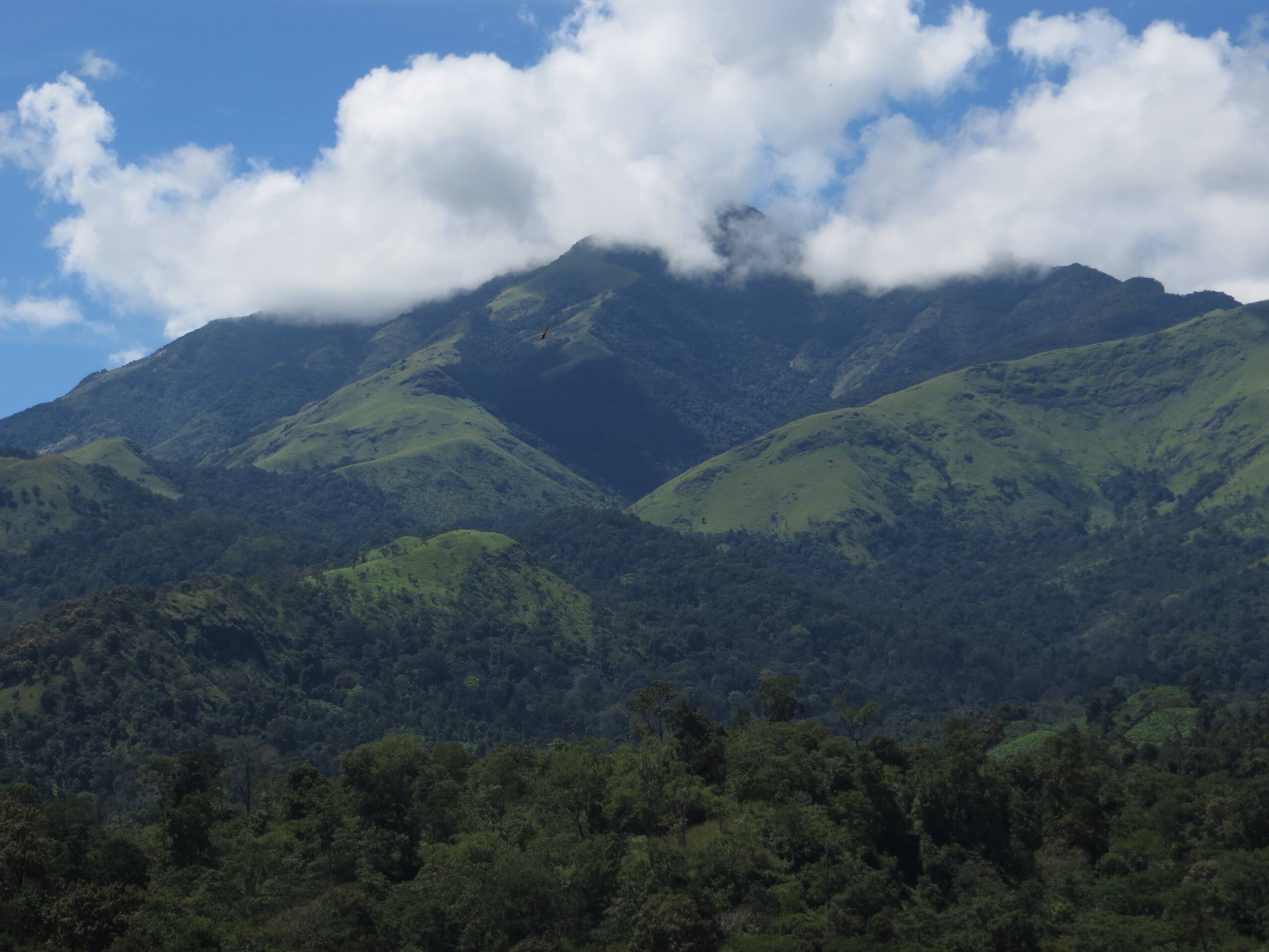 Pristine Hills - Home stay 1