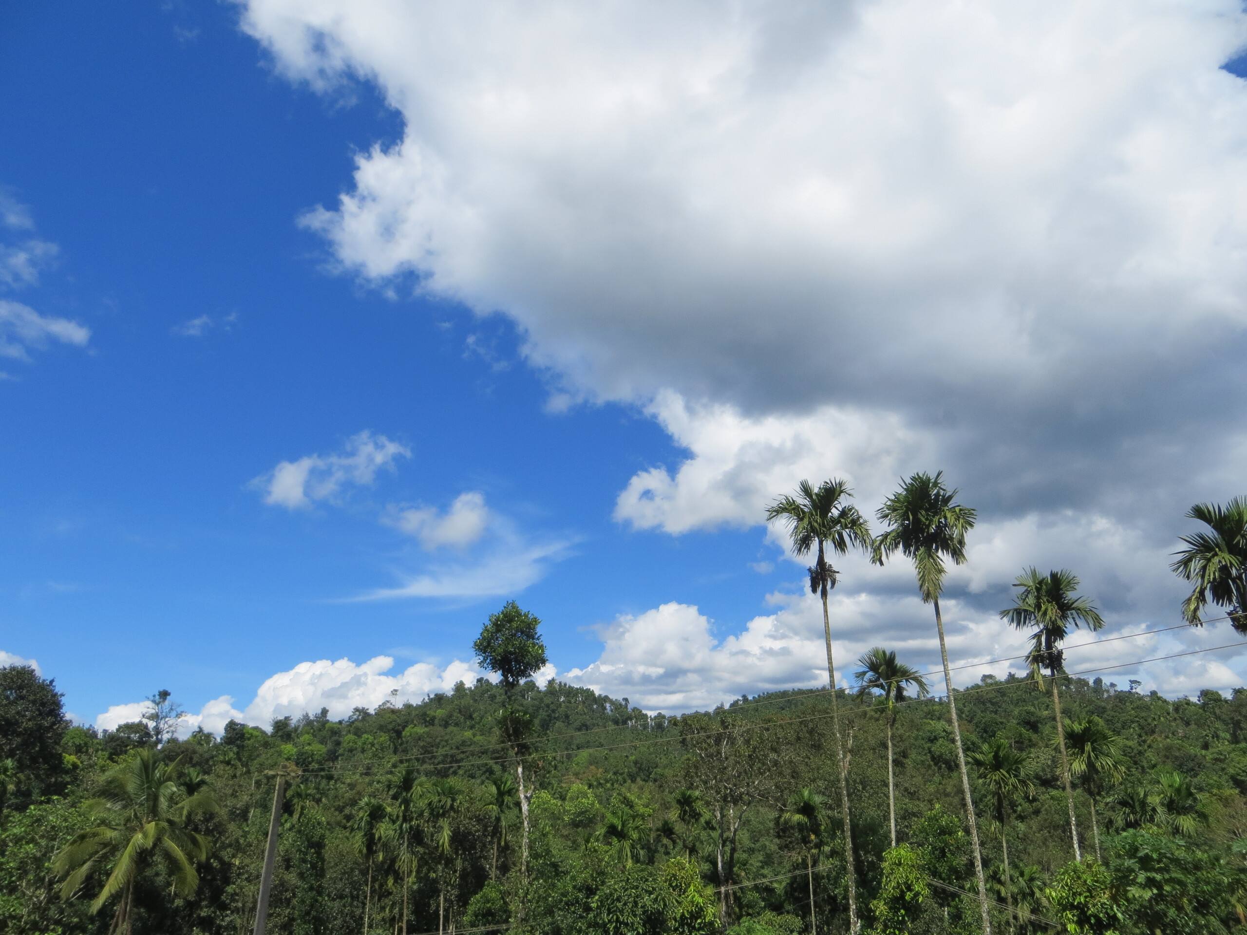 Pristine Hills - Home stay 2