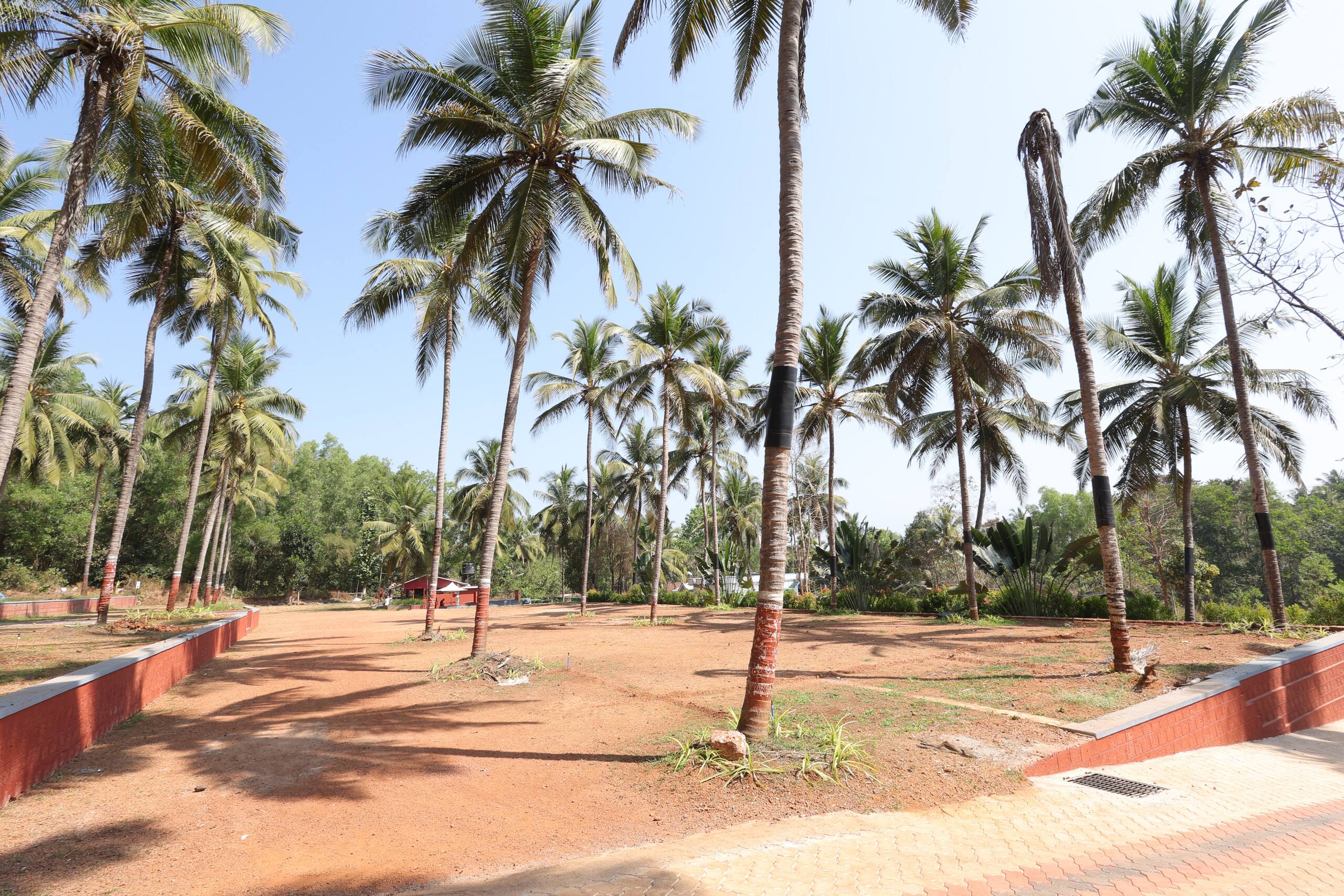 Tony's Estate - 2 BHK 32