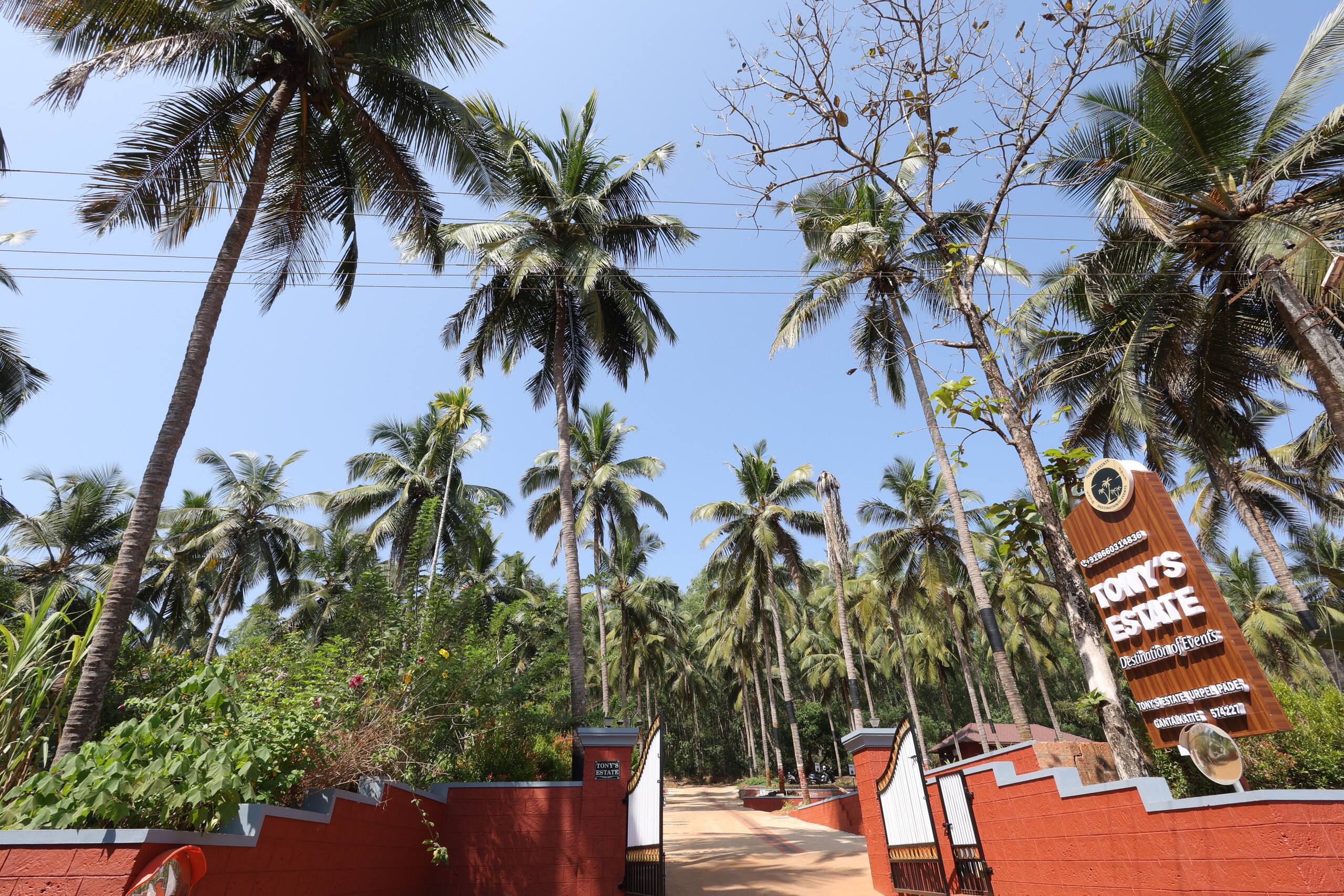 Tony's Estate - 2 BHK 24