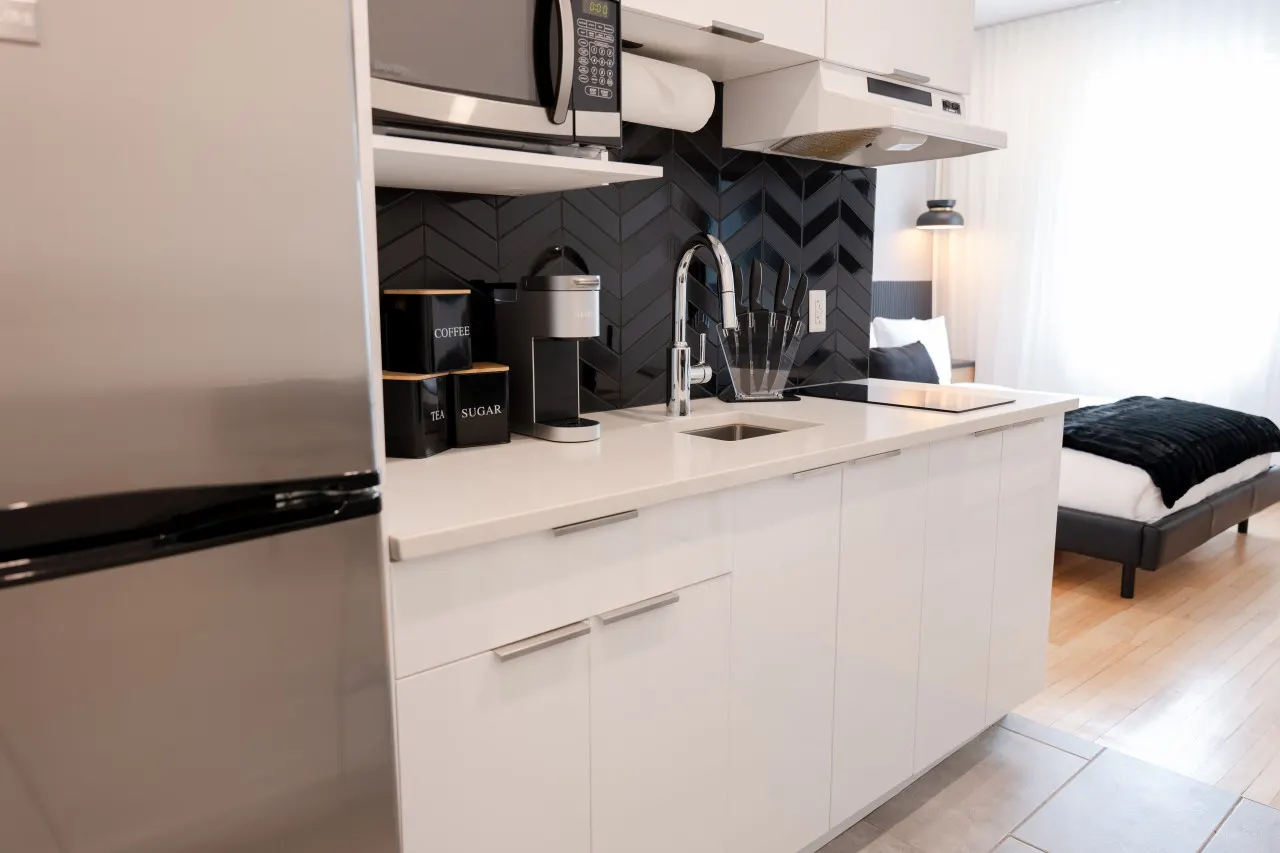 #3 - Studio/Plateau/St-Denis/SelfCheck-In/AC/TV 3