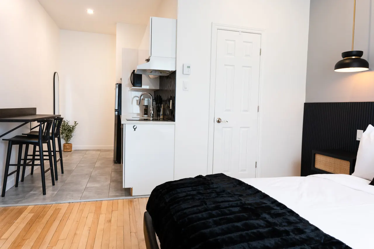 #3 - Studio/Plateau/St-Denis/SelfCheck-In/AC/TV 6