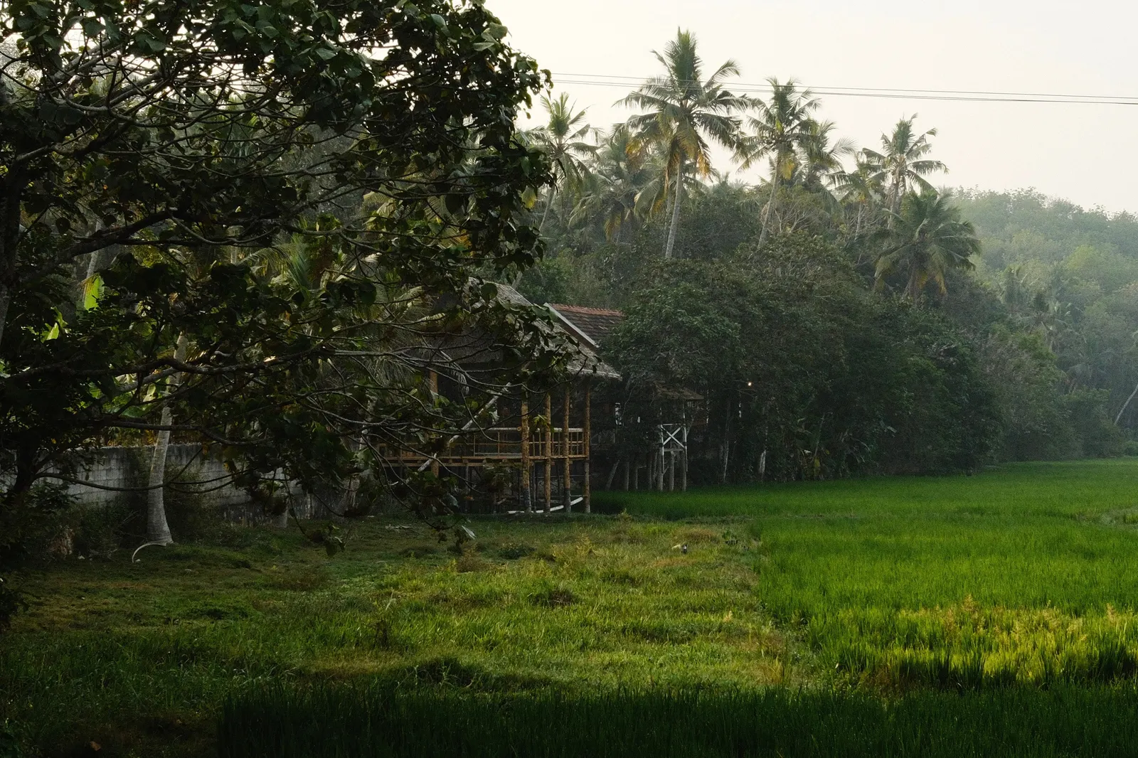 Nellu Tranquil Pool Villa Rustic farmstay Varkala 38