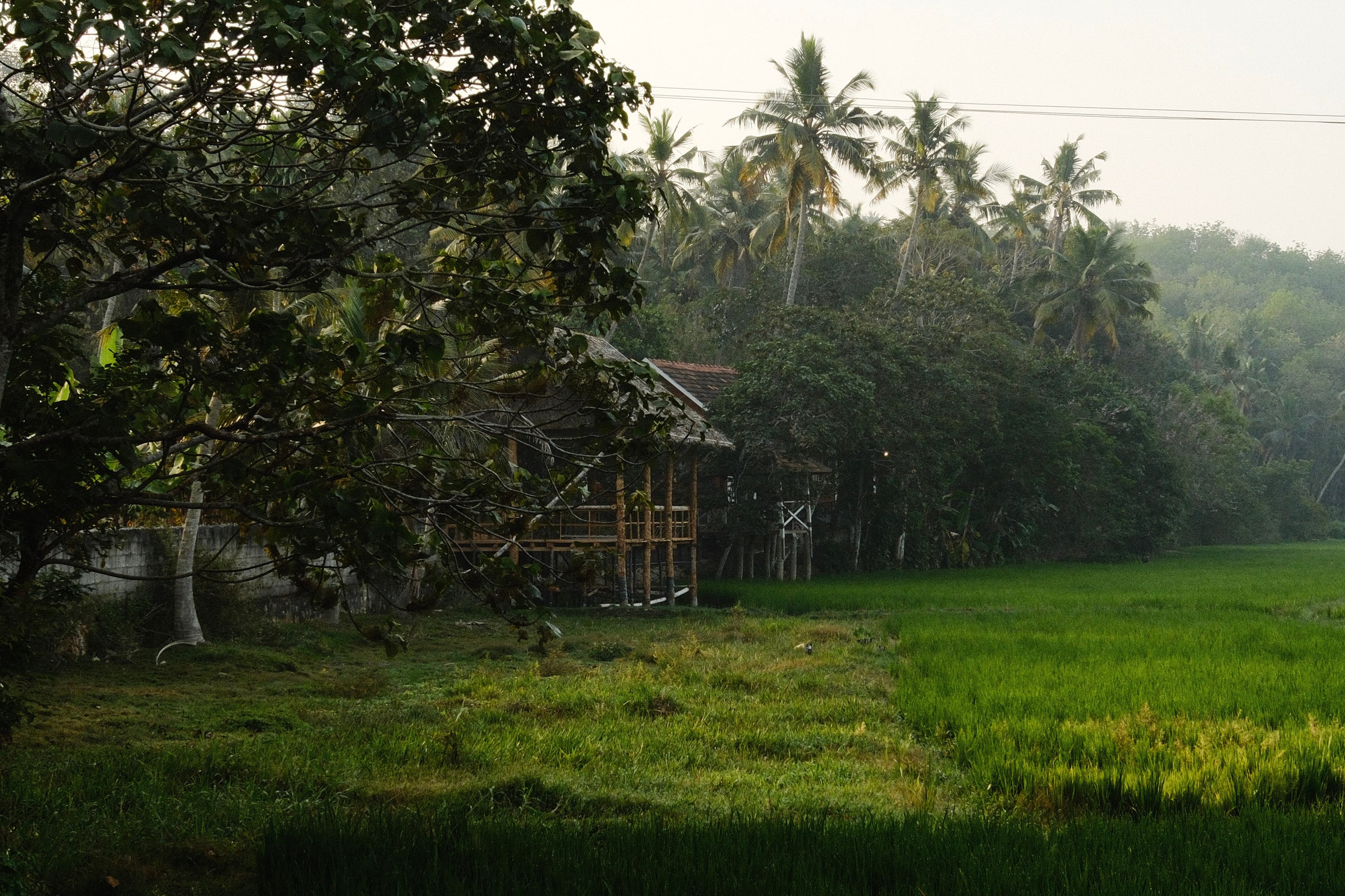 Nellu Tranquil Pool Villa |Rustic farmstay|Varkala 38