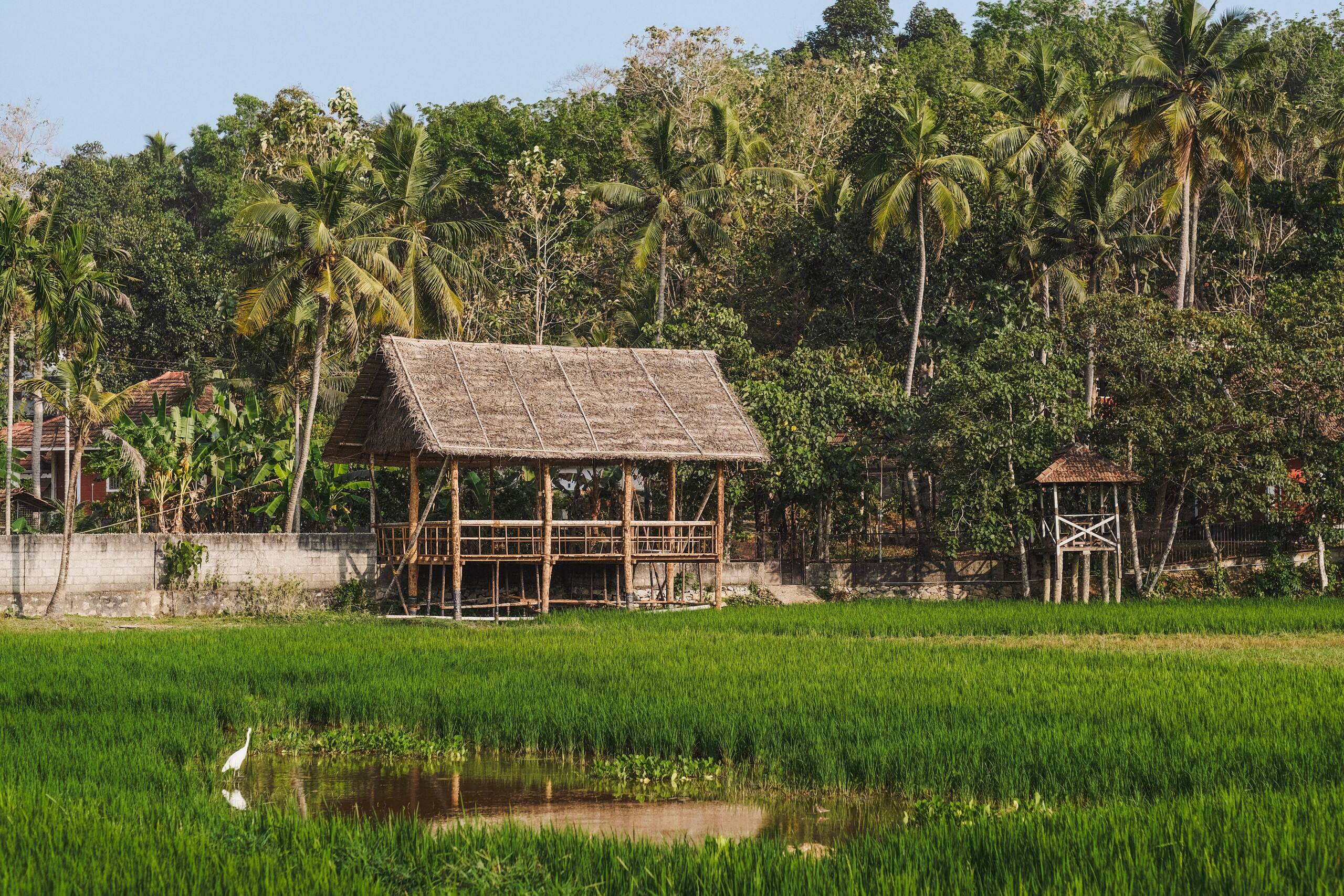 Nellu Tranquil Pool Villa |Rustic farmstay|Varkala 8