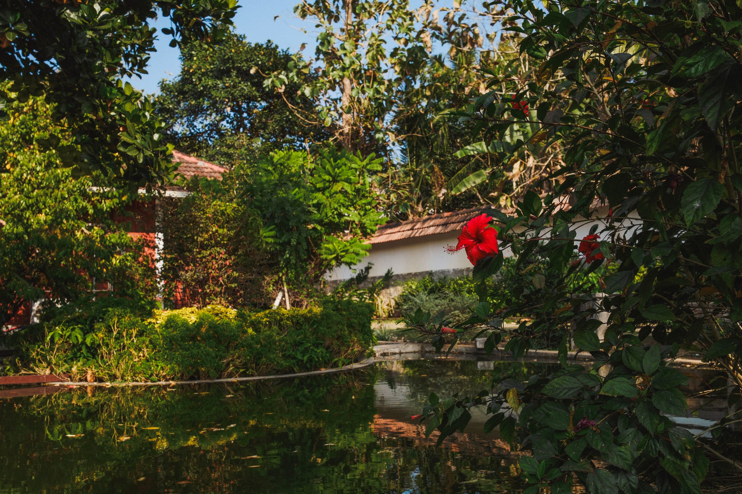 Nellu Tranquil Pool Villa |Rustic farmstay|Varkala 32