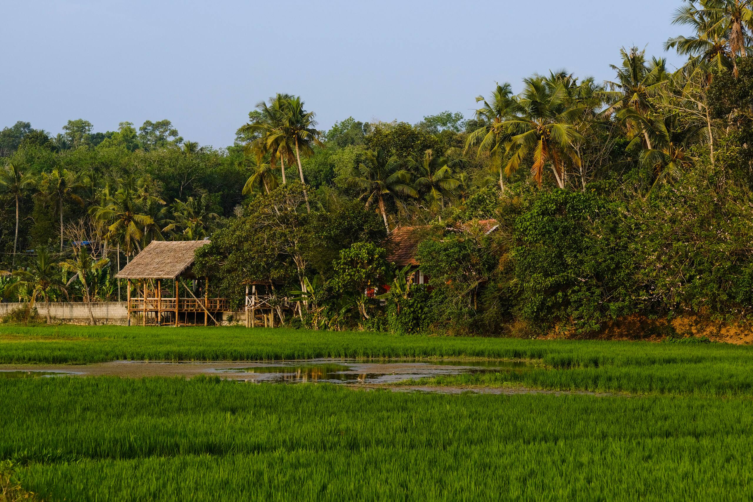 Nellu Tranquil Pool Villa |Rustic farmstay|Varkala 40