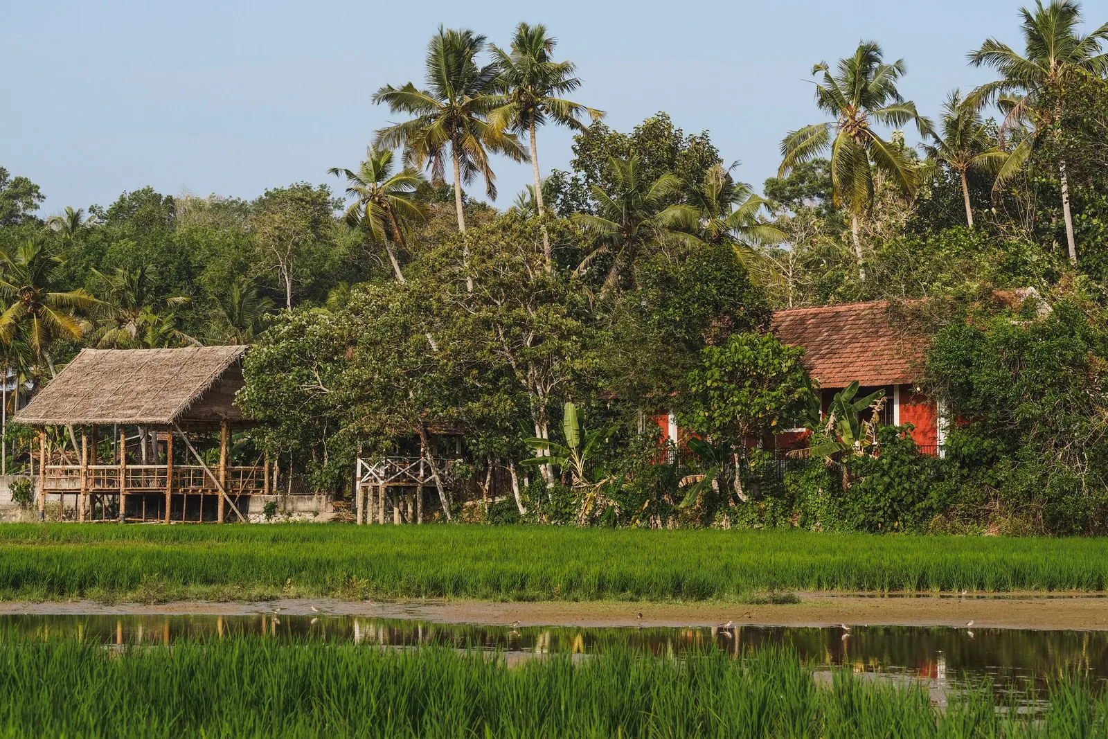 Nellu Tranquil Pool Villa Rustic farmstay Varkala 3
