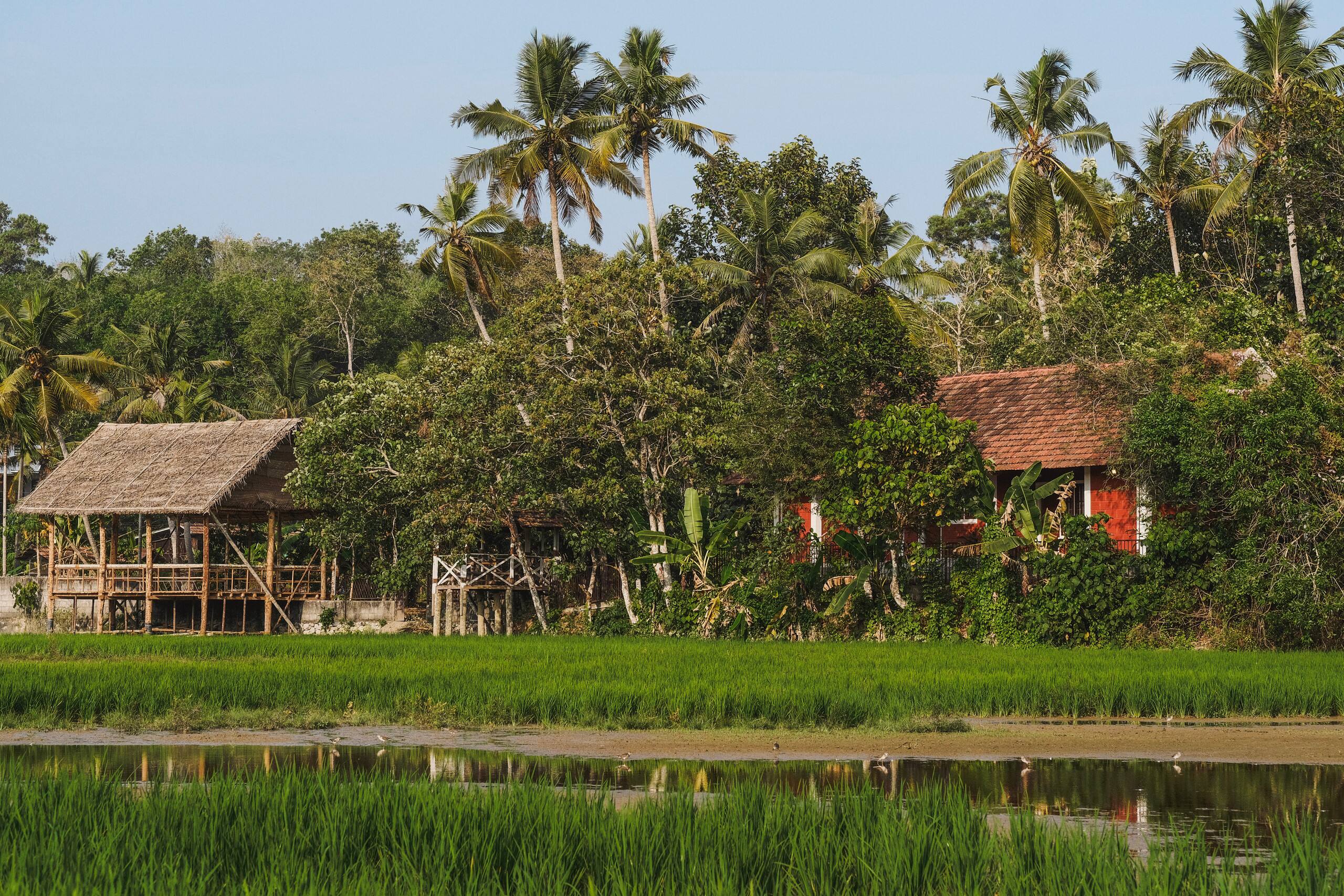 Nellu Tranquil Pool Villa |Rustic farmstay|Varkala — photo 3