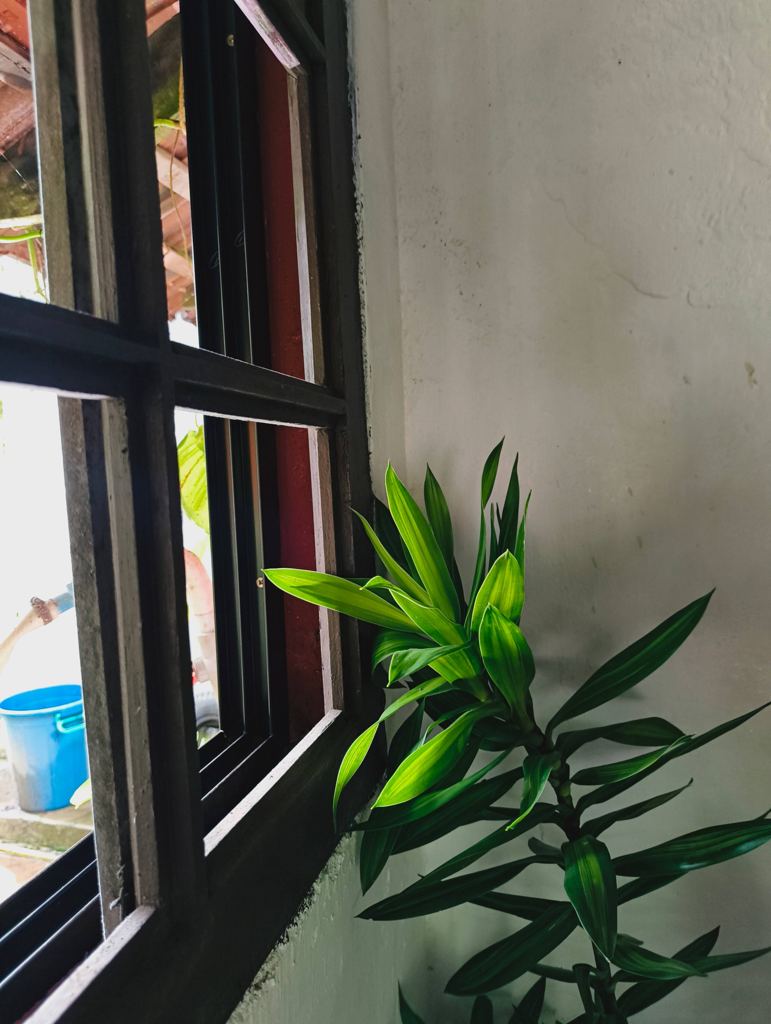 1bhk House in Kochi near Aster 12