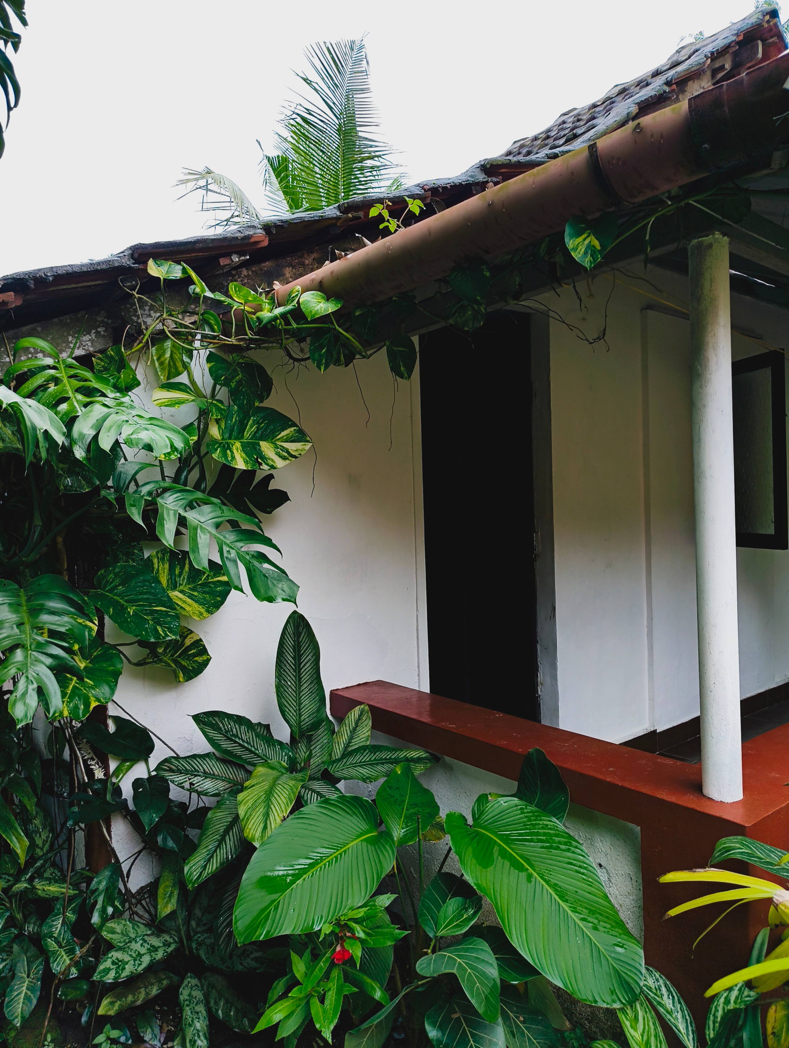 1bhk House in Kochi near Aster 6