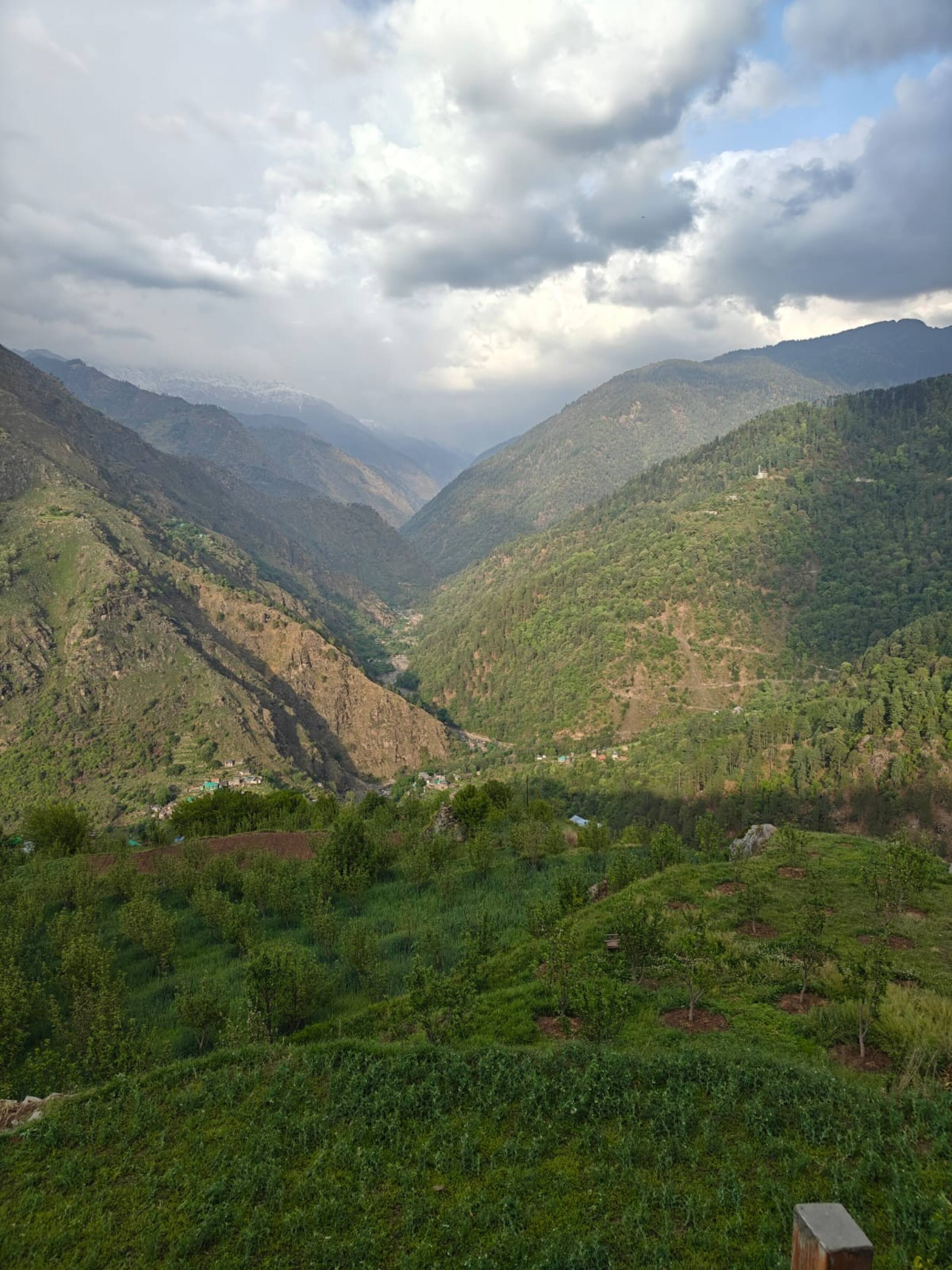 Wood Cottage, with valley view near shangarh — photo 3