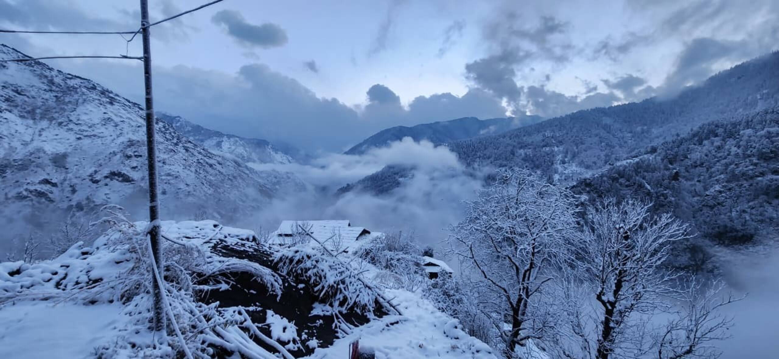 Wood Cottage, with valley view near shangarh 11