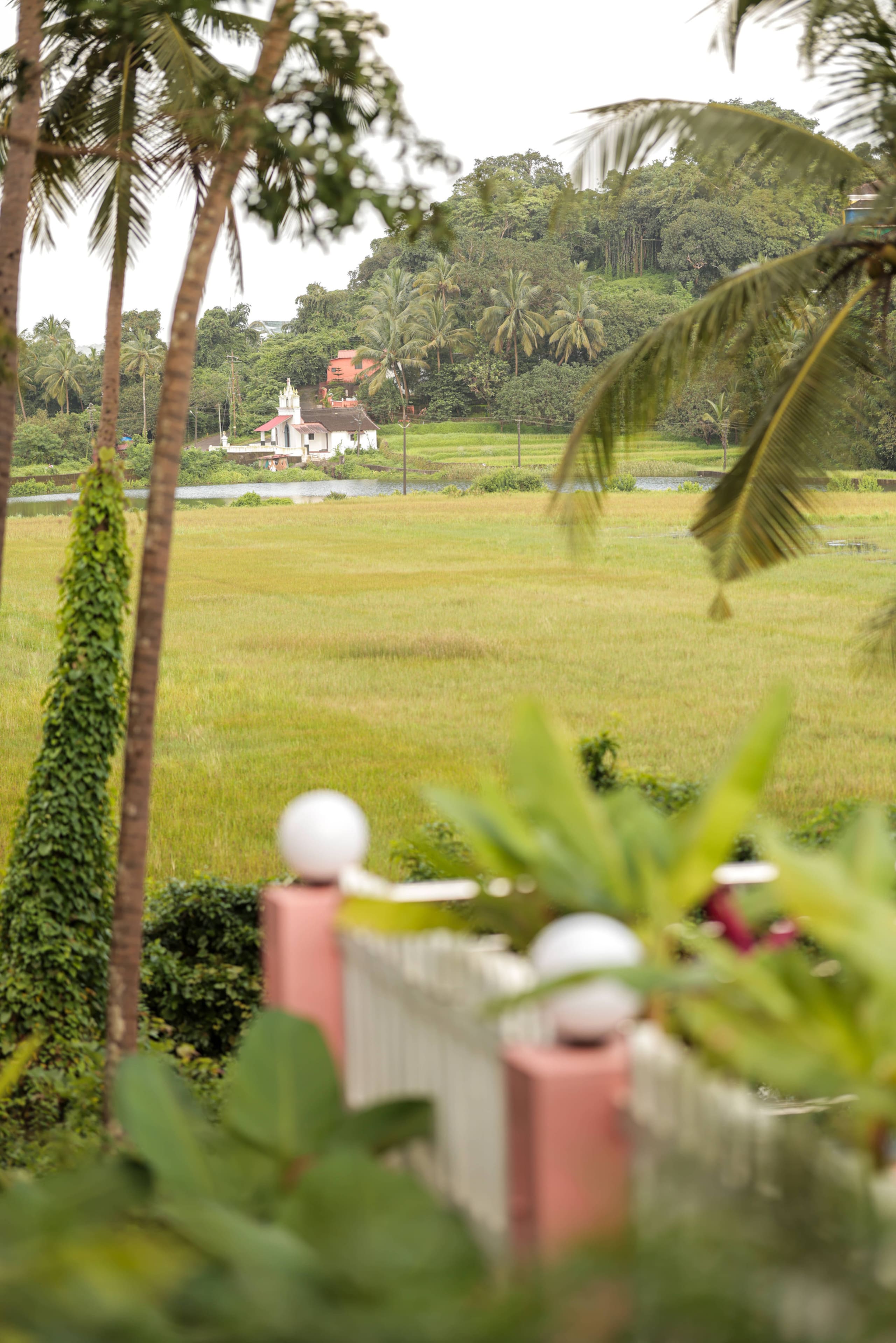 The Village Casa, Goa Backwaters Property 6
