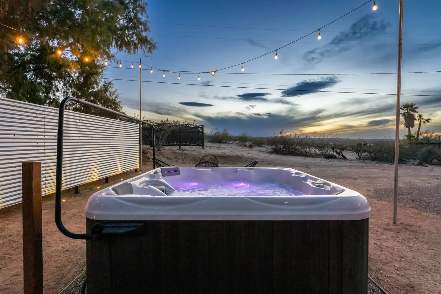 Astro, 29 Palms/Joshua Tree, California — photo 4
