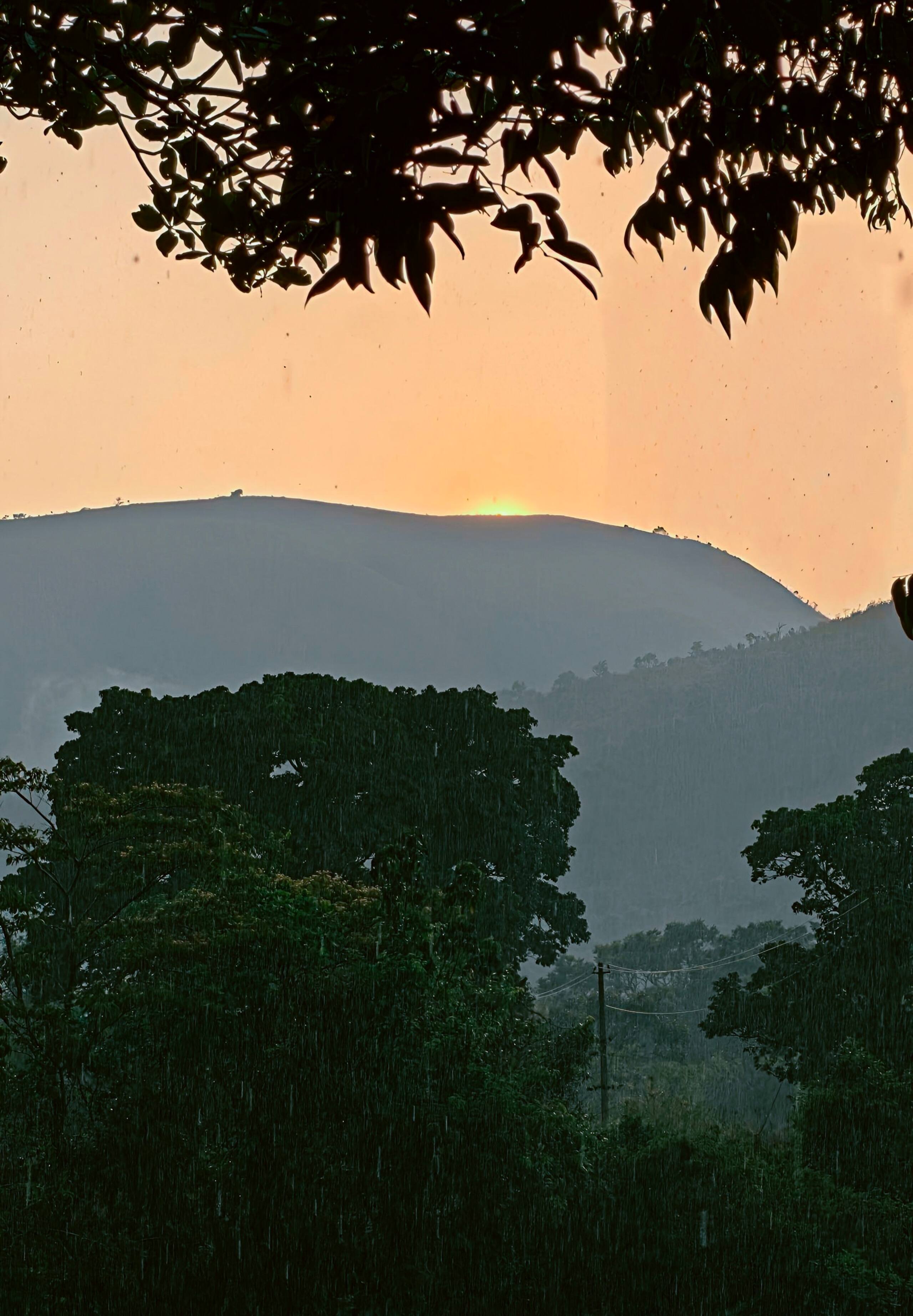 Nysiri valley plantation retreat in mudigere 33