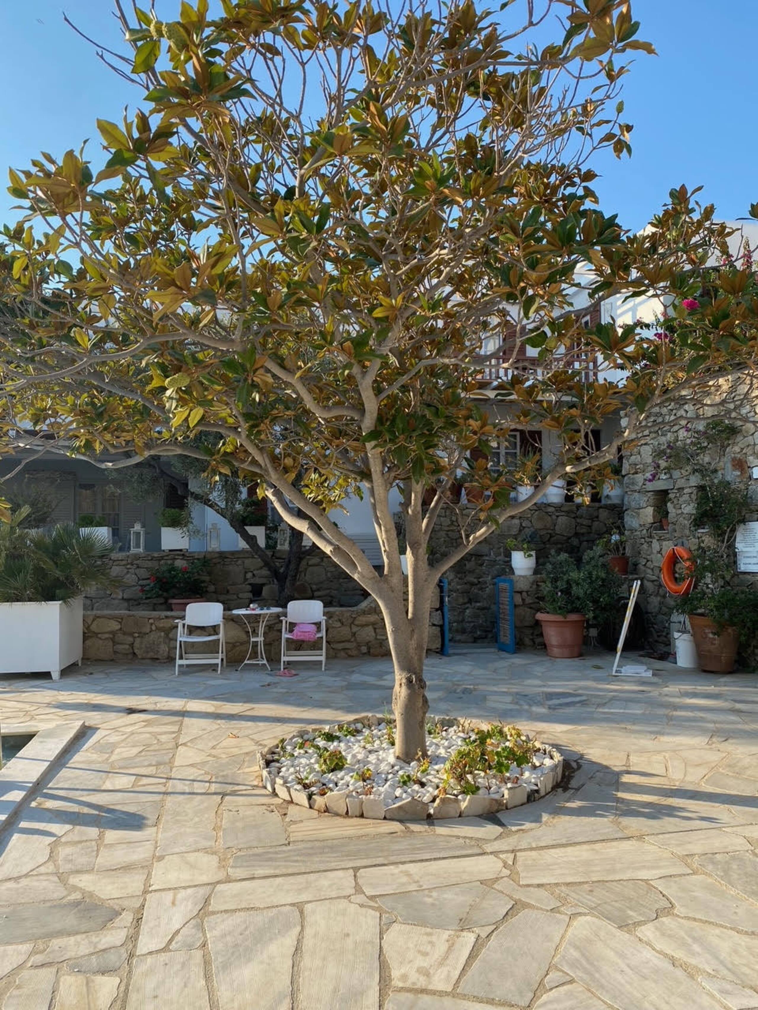 Ibiscus Chora House. Best down town location 26
