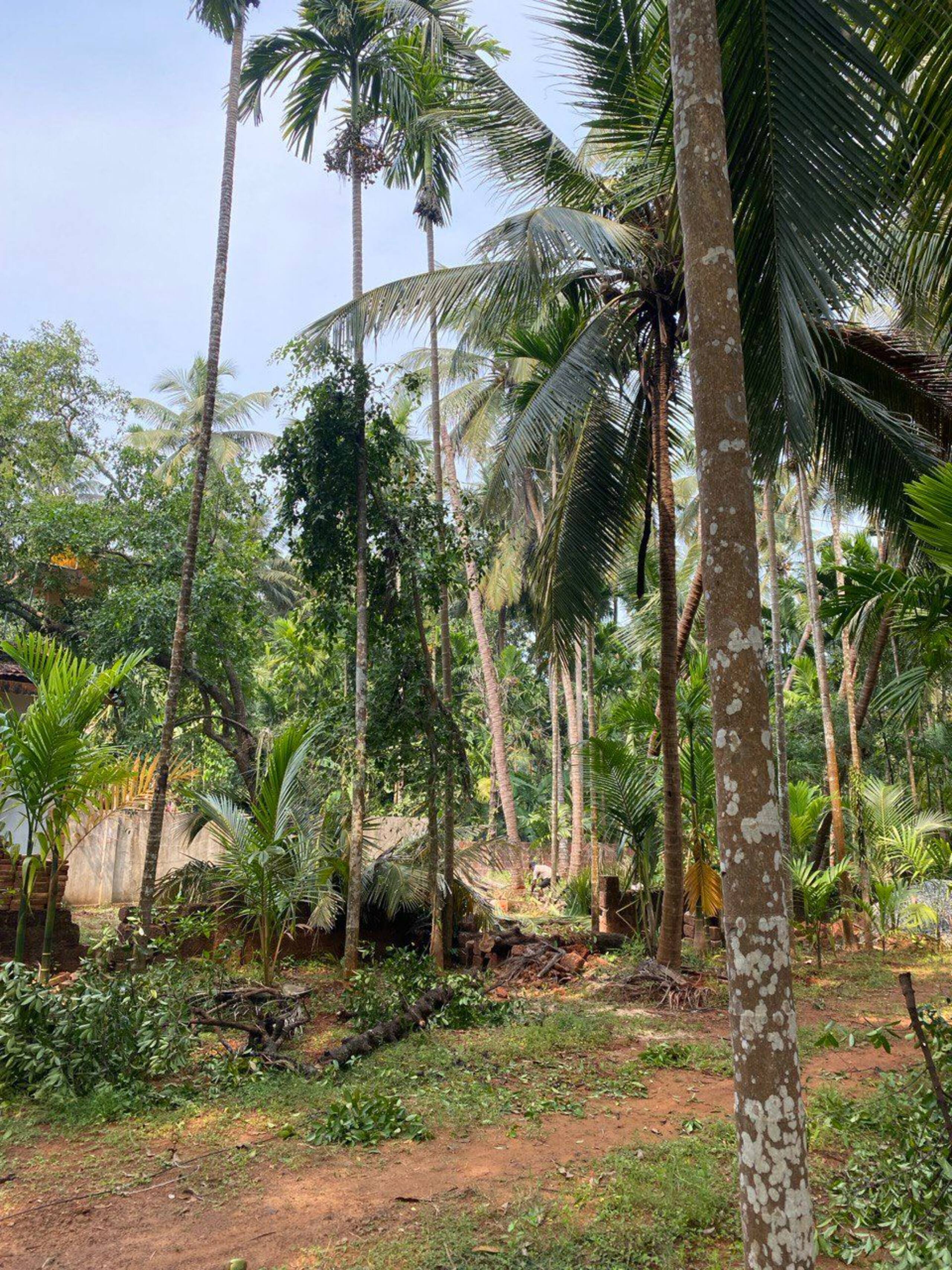 Aloha Gokarna-Entire 2BHK AC Villa home & kitchen 23