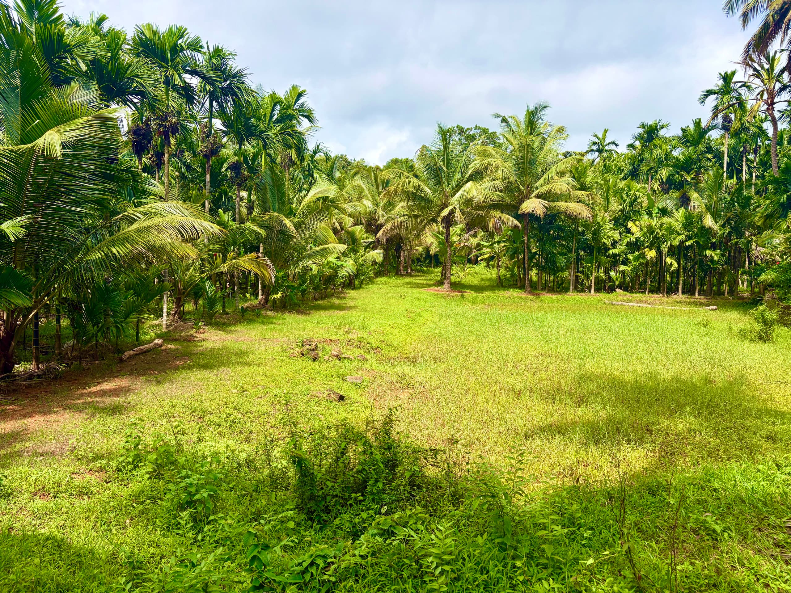 Aloha Gokarna-Entire 2BHK AC Villa home & kitchen 32