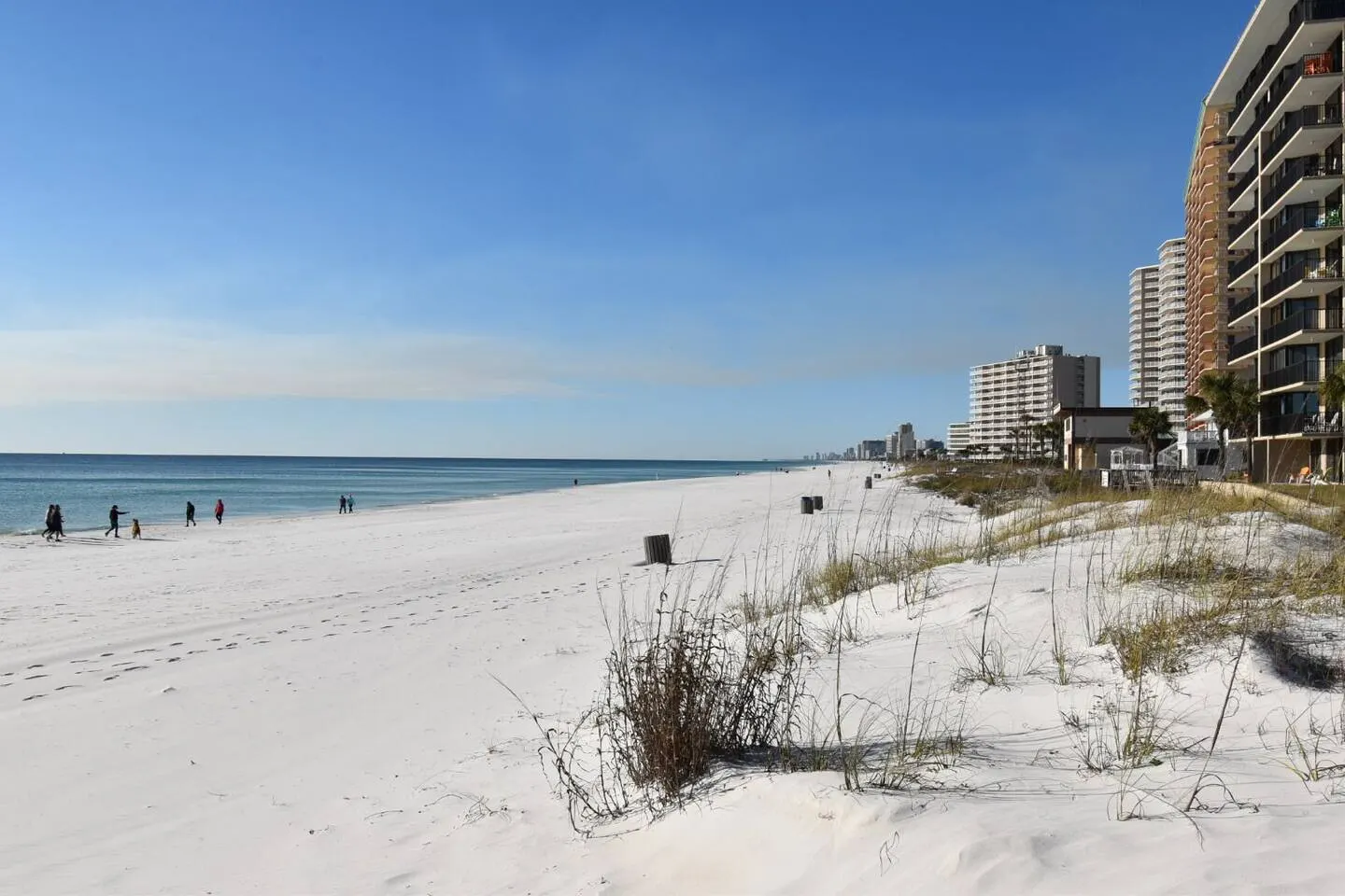 Sunswept 302-Cozy 1BR Condo w/pool & beach access 5