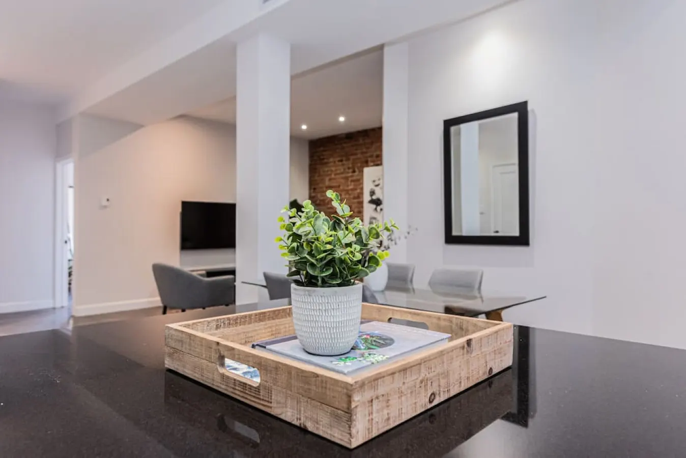 Plateau - Massive 3 bedroom apartment in the heart of Le Plateau 6