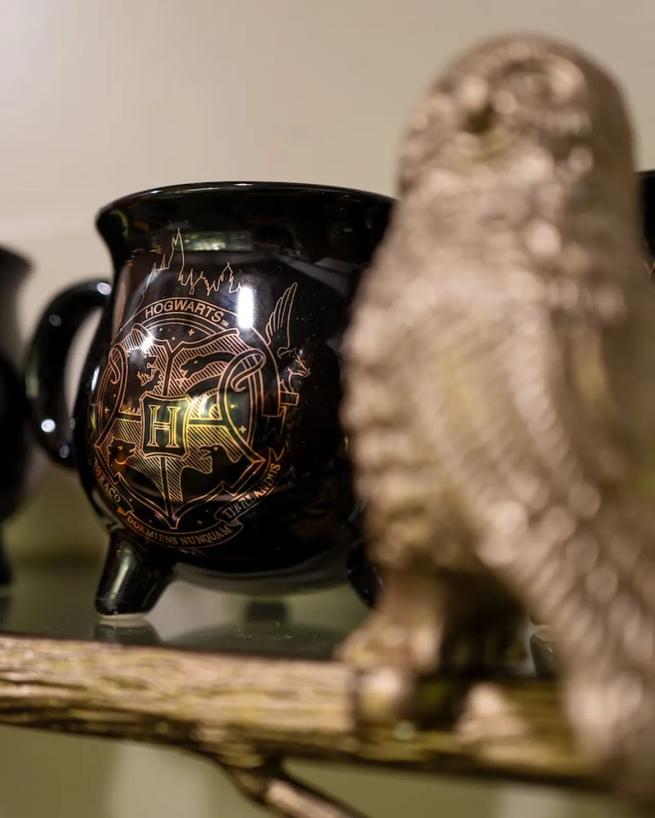 Magical Harry Potter Themed Hot Tub & Fire Pit 13