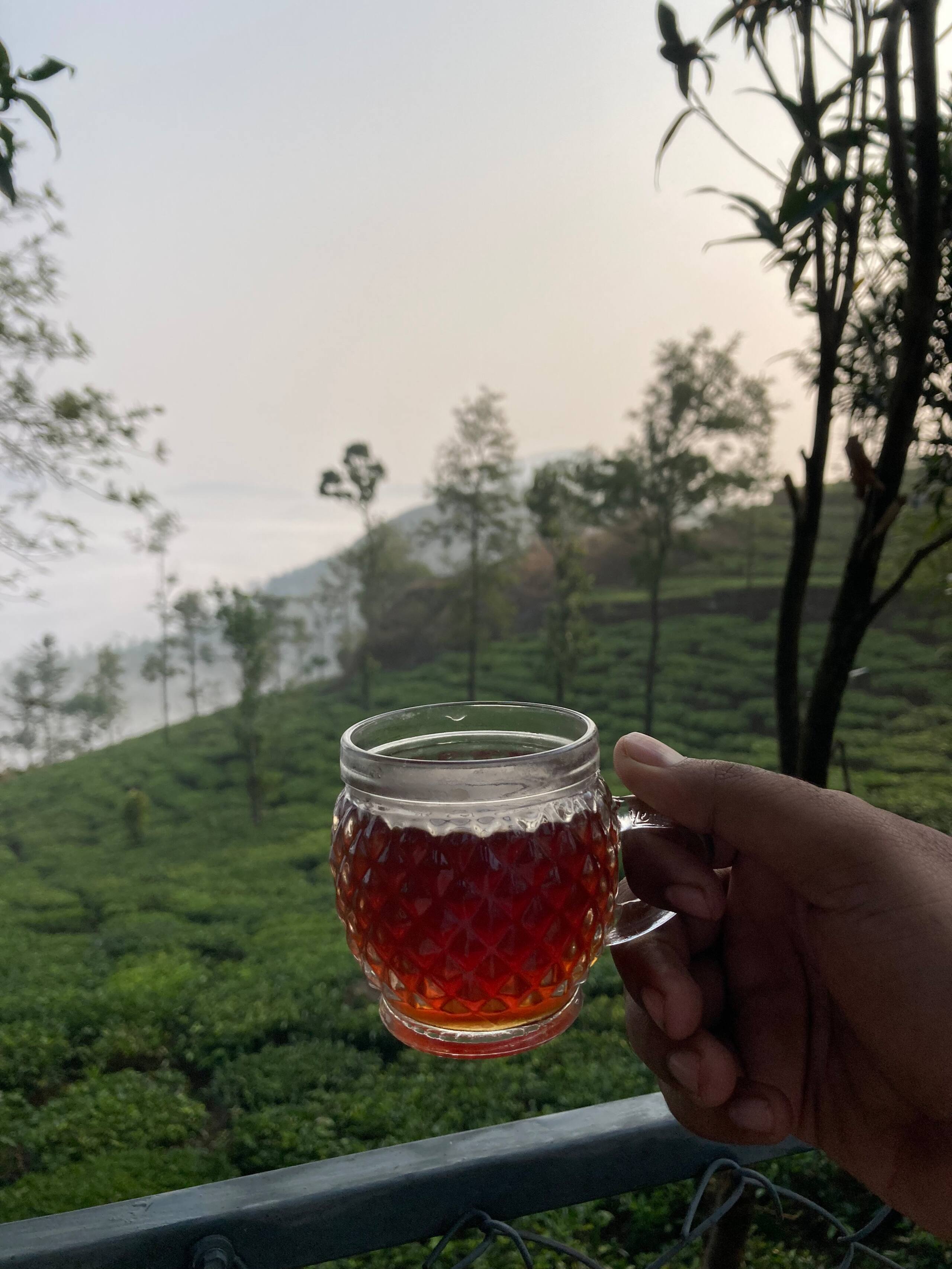 Private 1 Bedroom Villa @Thumpayil Tea Plantation 31