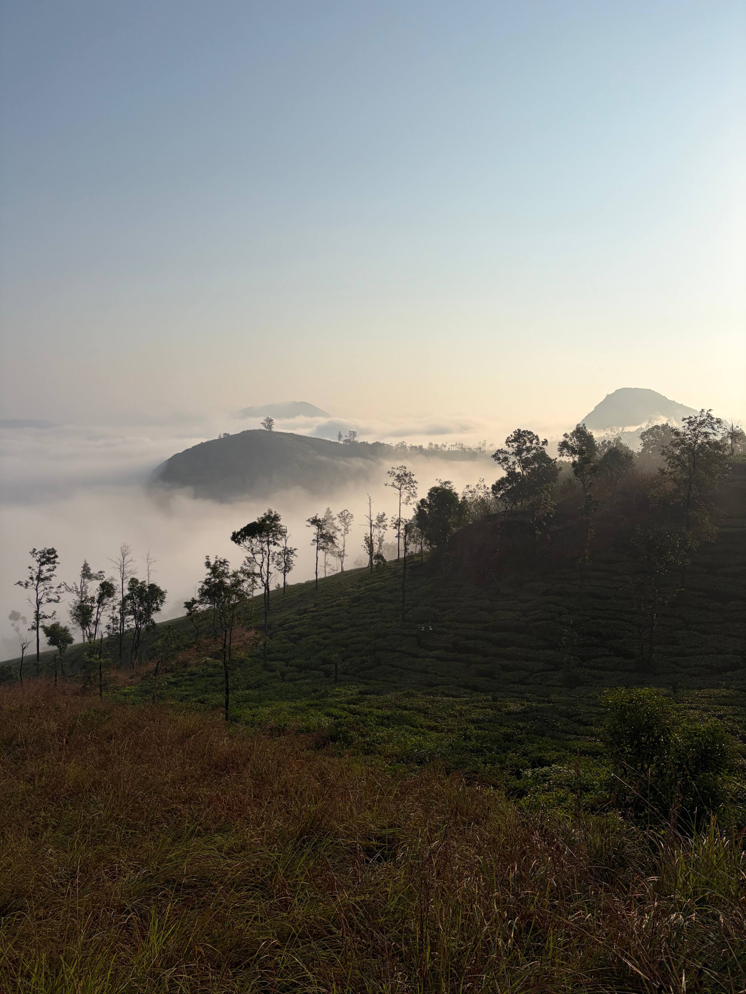 Private 1 Bedroom Villa @Thumpayil Tea Plantation 25